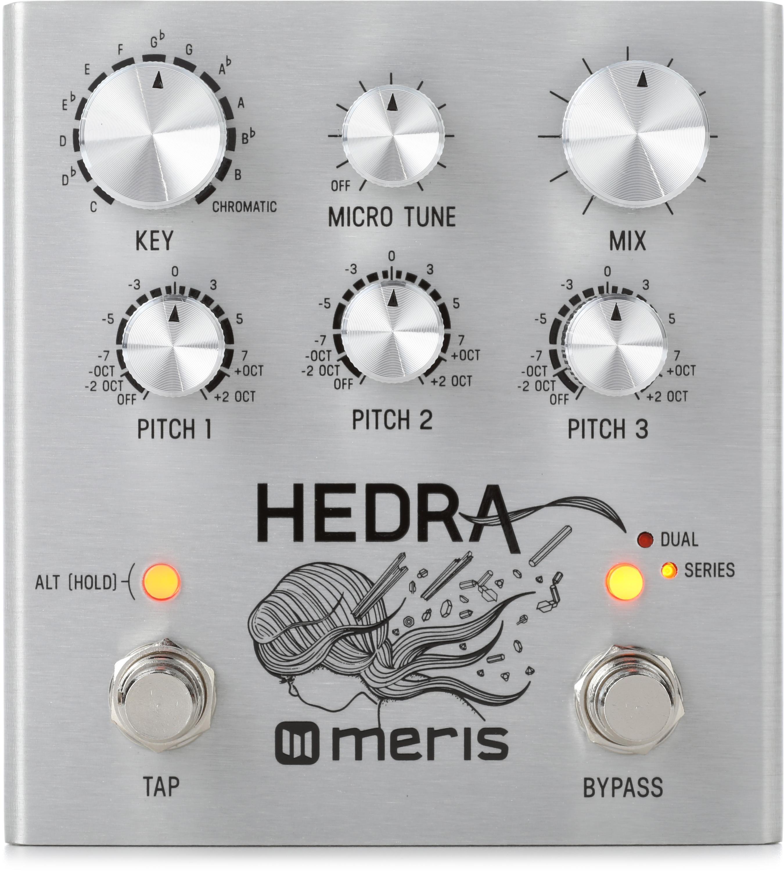 定番2024meris Hedra ギター