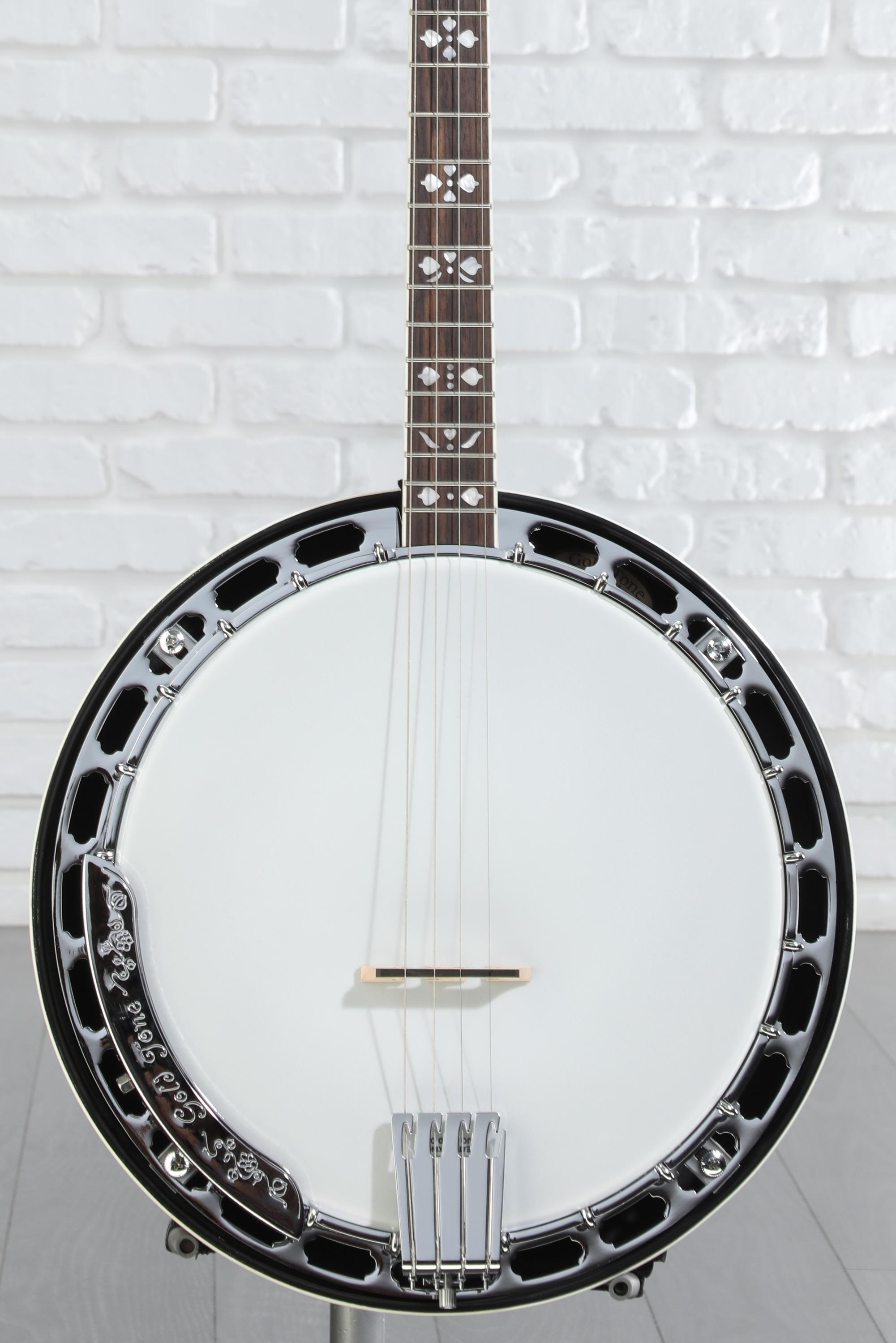 Gold Tone TS-250 Tenor Special Banjo - Vintage Brown
