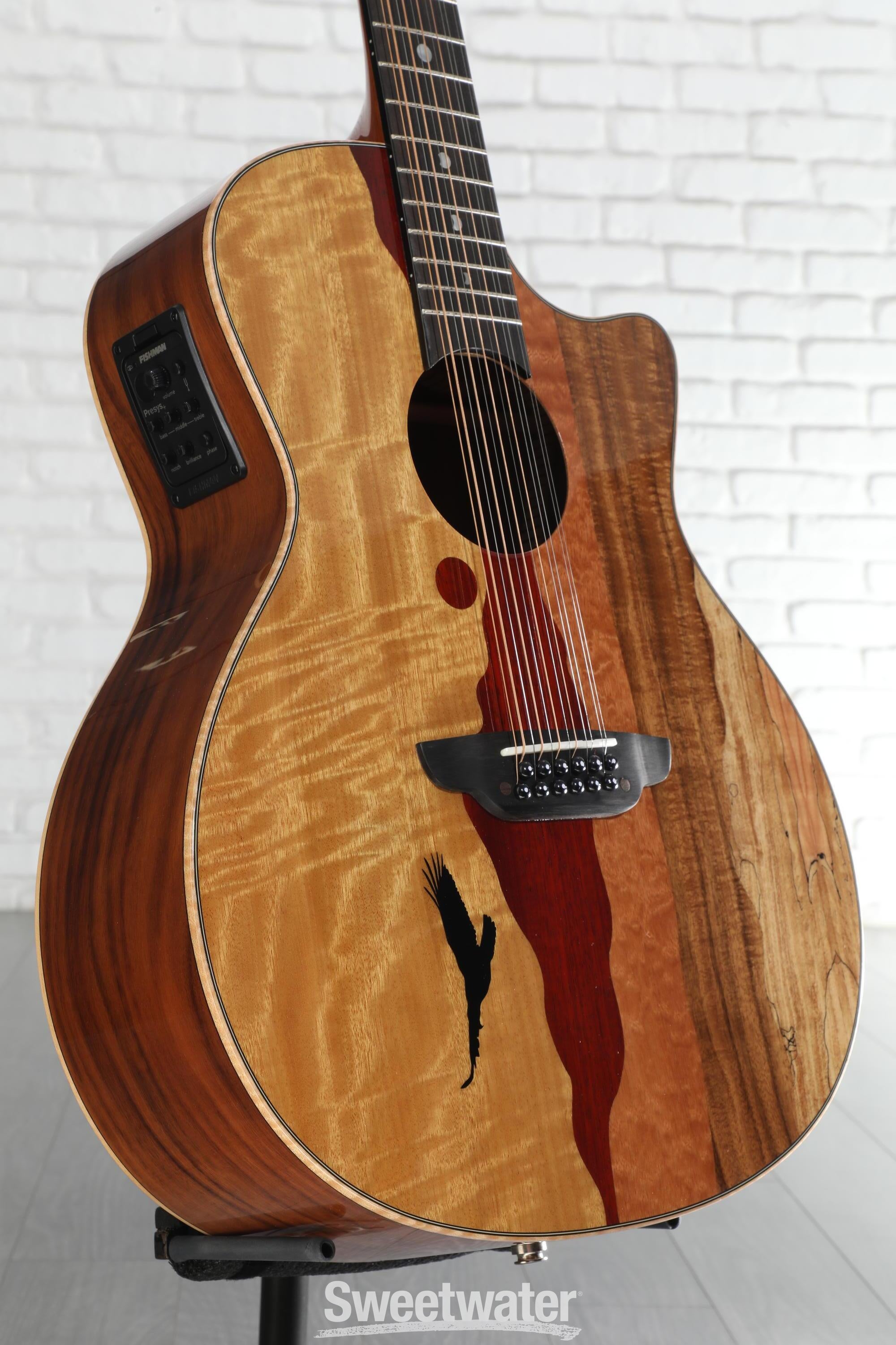 Luna Vista Eagle 12-string Acoustic-electric Guitar - Gloss