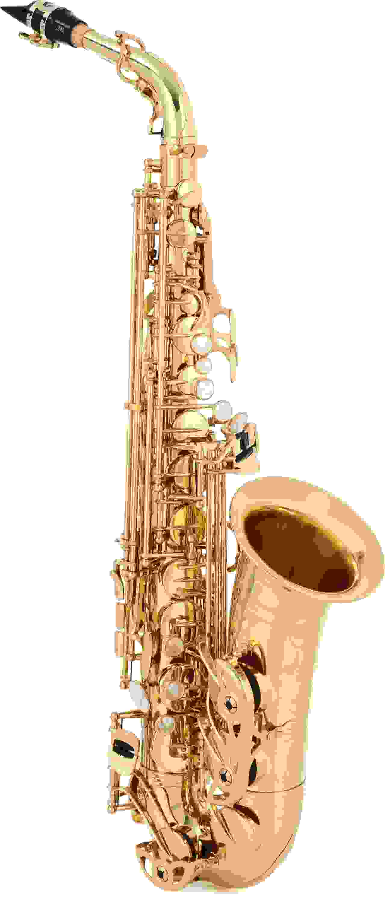 Yanagisawa A-WO10 Elite Professional Alto Saxophone - Gold Lacquer