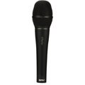 Photo of DPA d:facto 4018VL Linear Supercardioid Condenser Microphone with Wired DPA Handle - Black