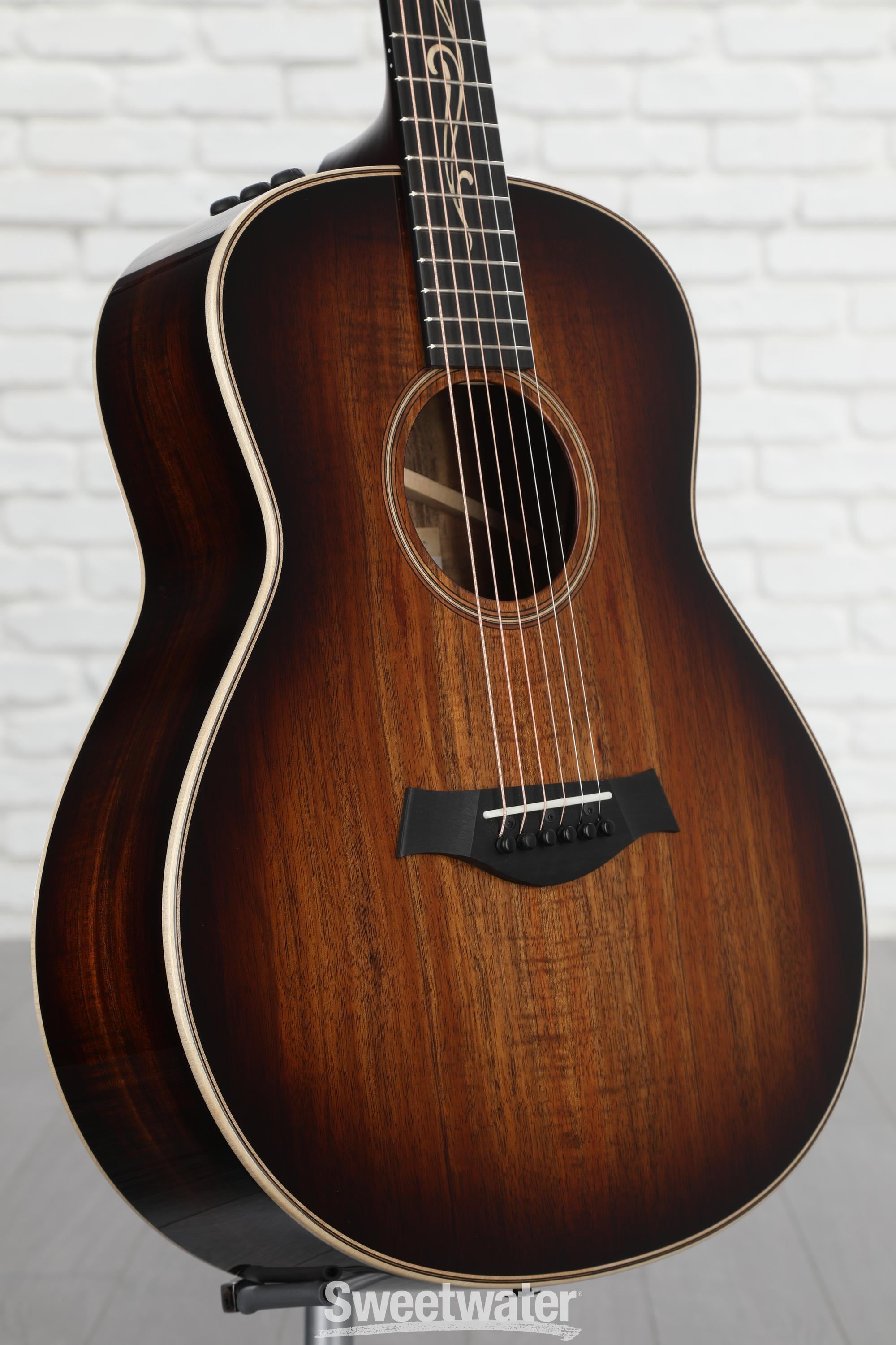 坂本 ELECTRIC HEX MATTE BLACK TORT ゴーグル Open Box Schecter Guitar Research E-1 Standard Solid Body