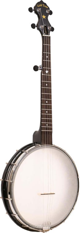AC-12A - 12-inch A-Scale Acoustic Composite 5-string Open-back