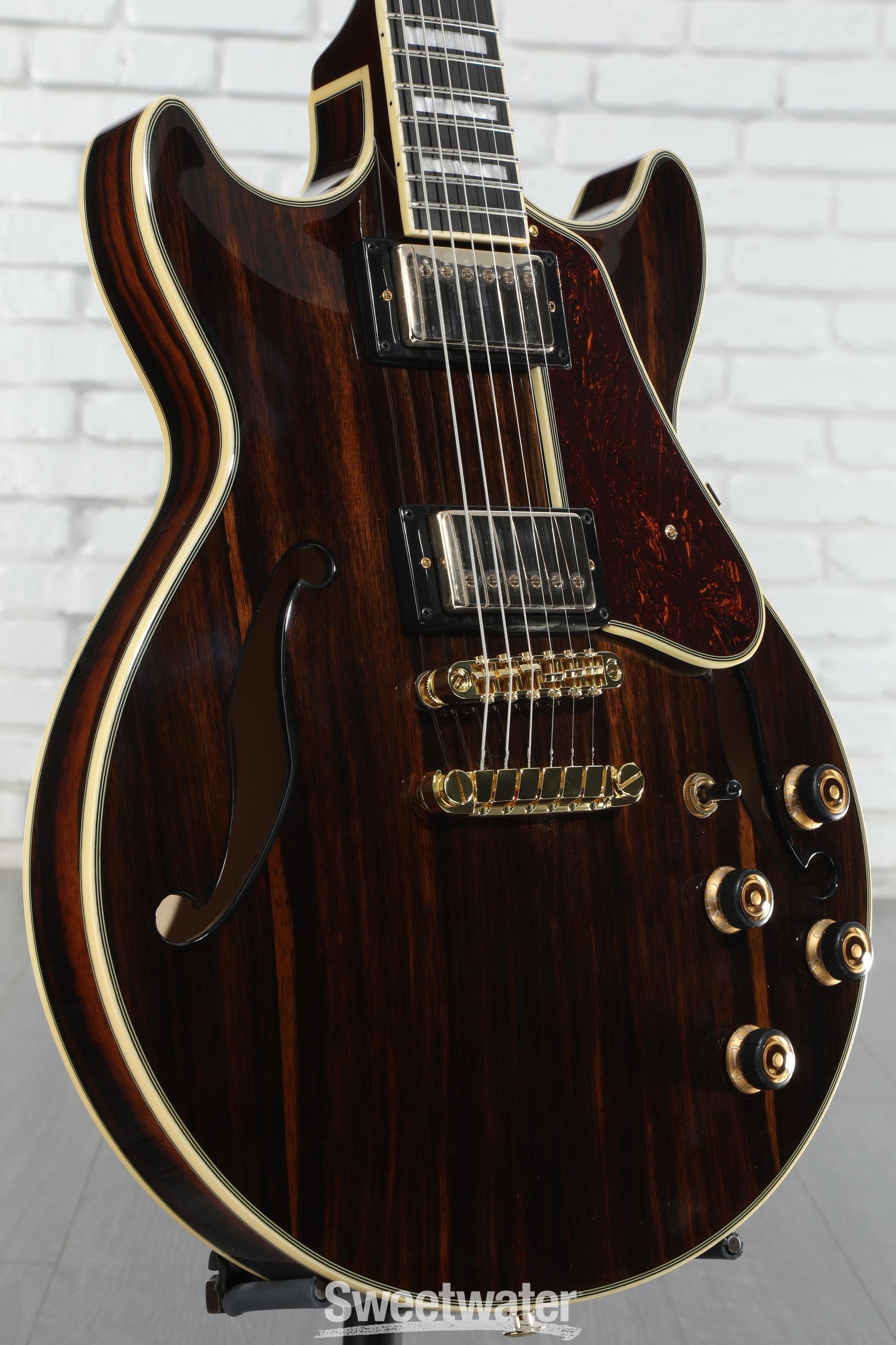 AM93ME | AM | HOLLOW BODIES | PRODUCTS | Ibanez guitars