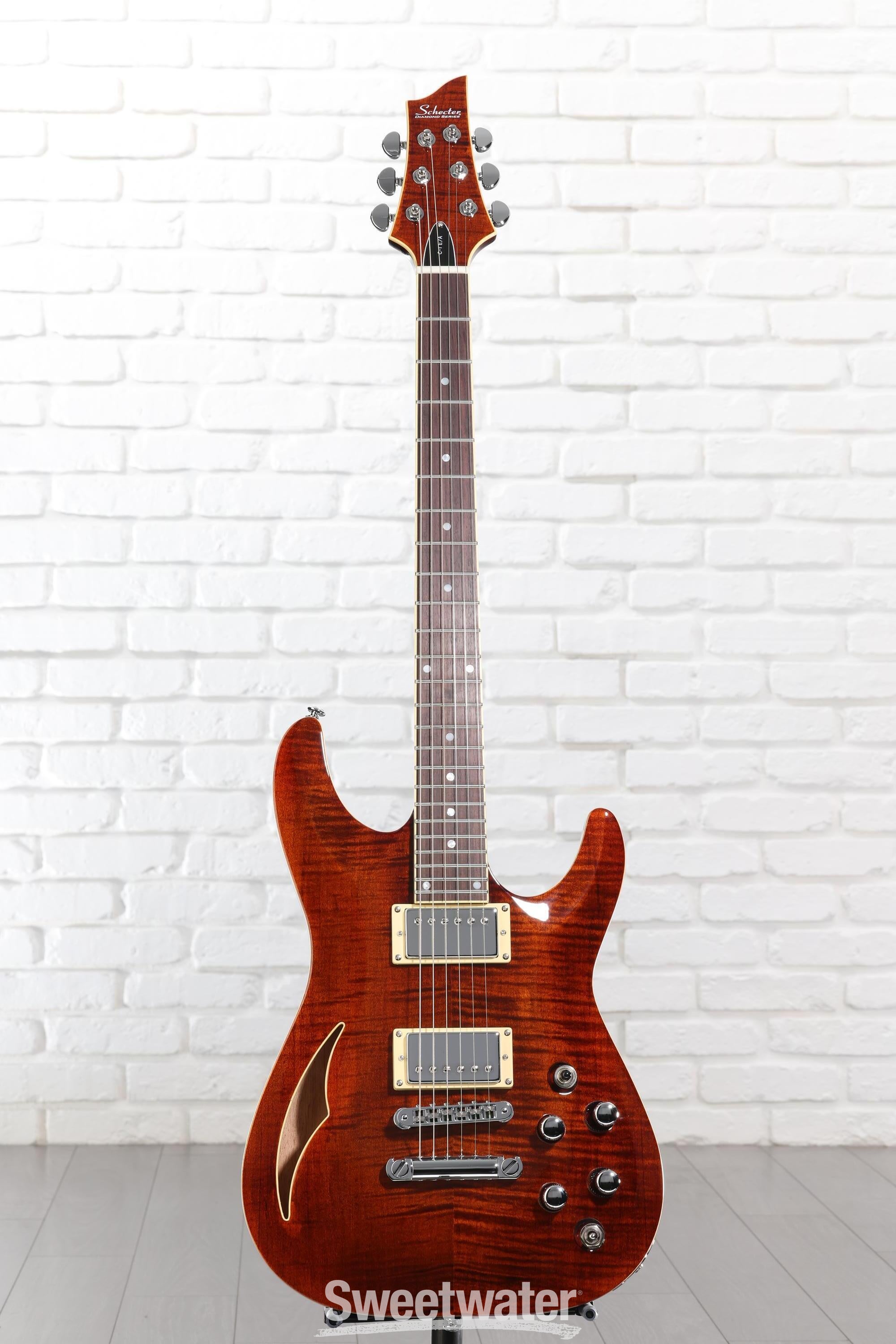 Schecter C-1 E/A Classic Semi-hollowbody Electric Guitar - Cats