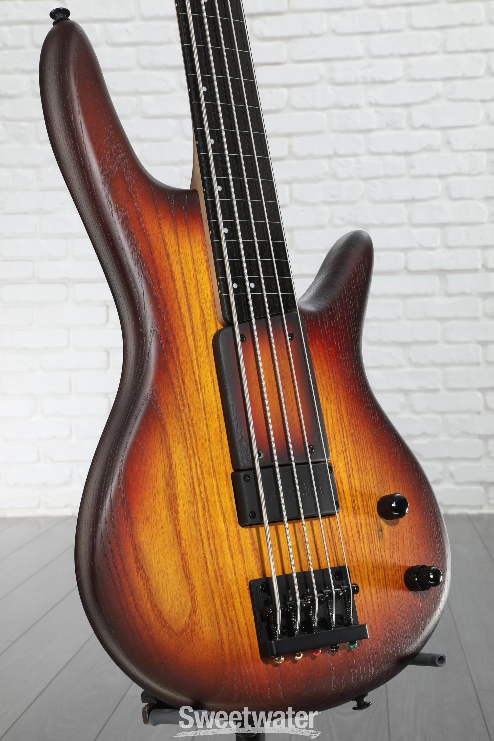 Ibanez Gary Willis Signature GWB205 Fretless Bass Guitar