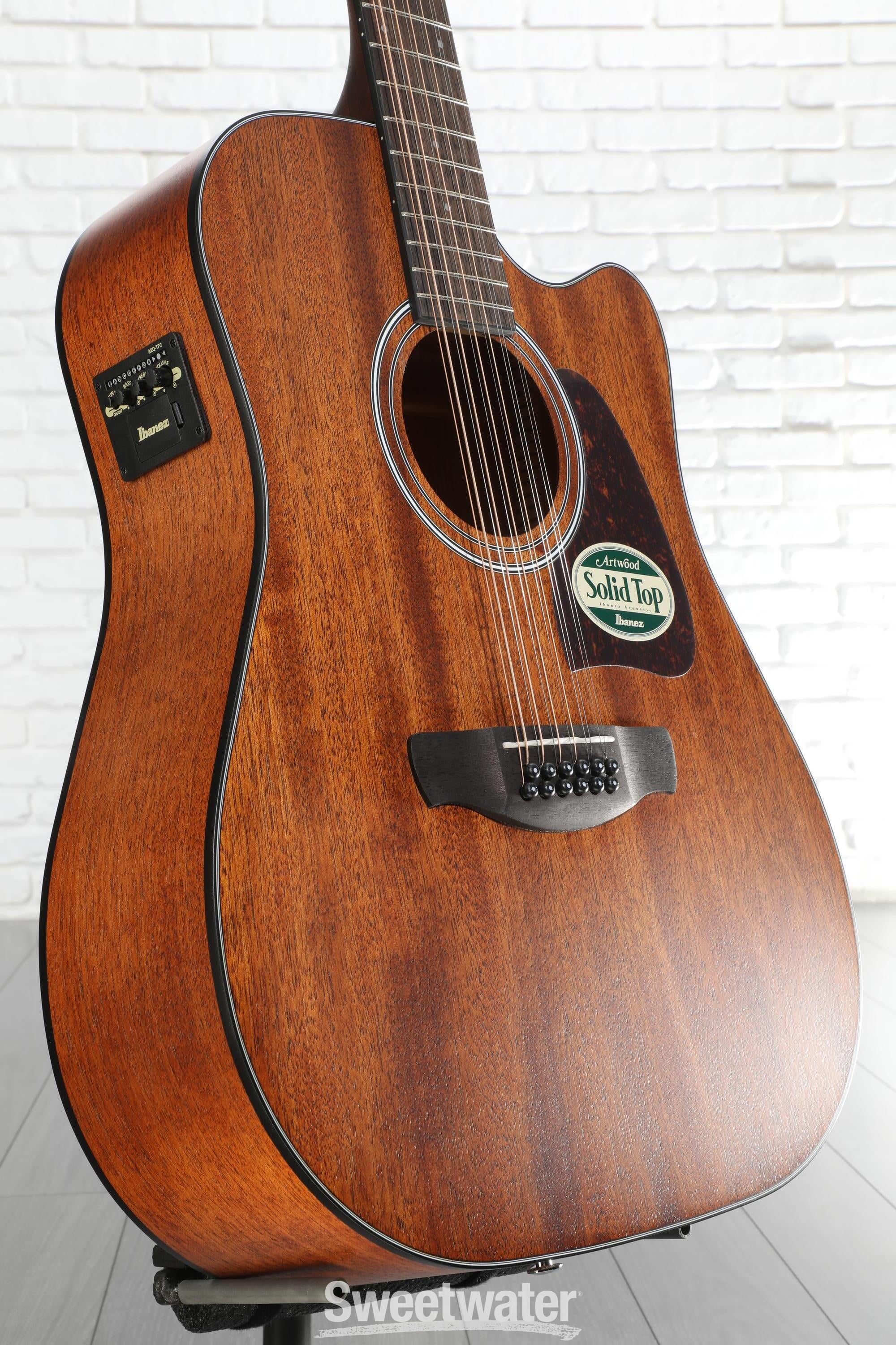 Ibanez Acoustic / Electric Guitars - Sweetwater