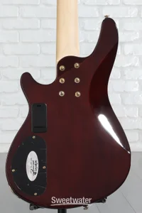Schecter Omen Extreme-5 Bass Guitar - Natural