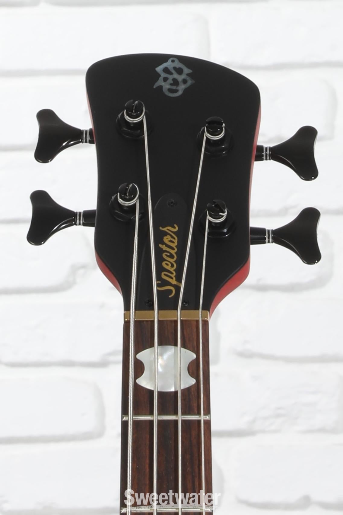 Spector Euro 4 LX Bass Guitar - Black Cherry Matte - Sweetwater Exclusive