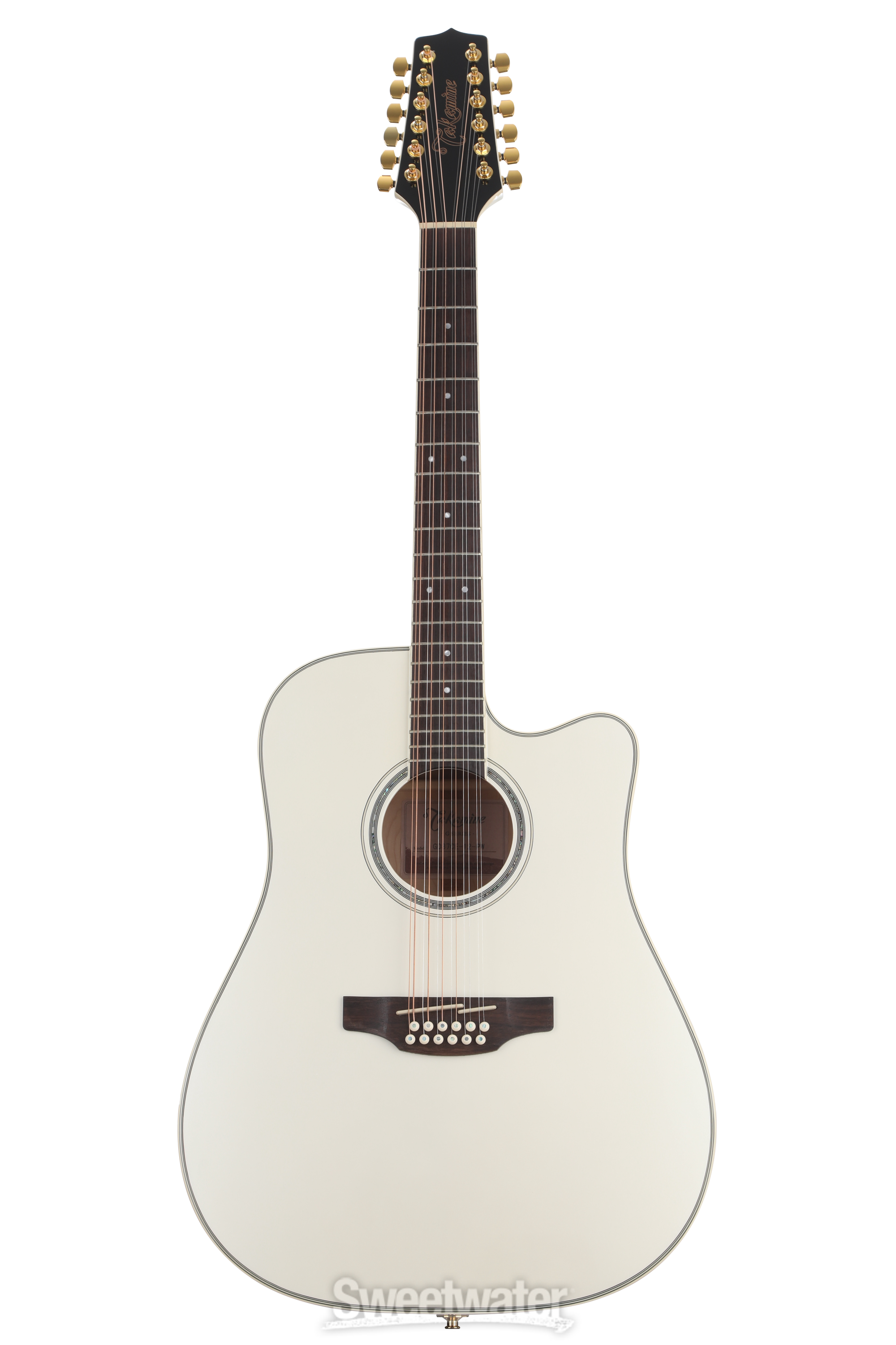 takamine タカミネ アコースティックギター T-F1