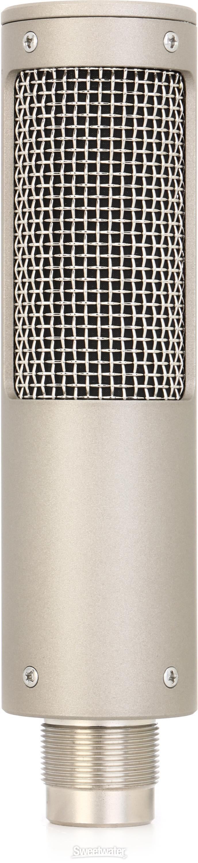 ROYER r101 レコーディング用リボンマイク R-101 - Royer Labs