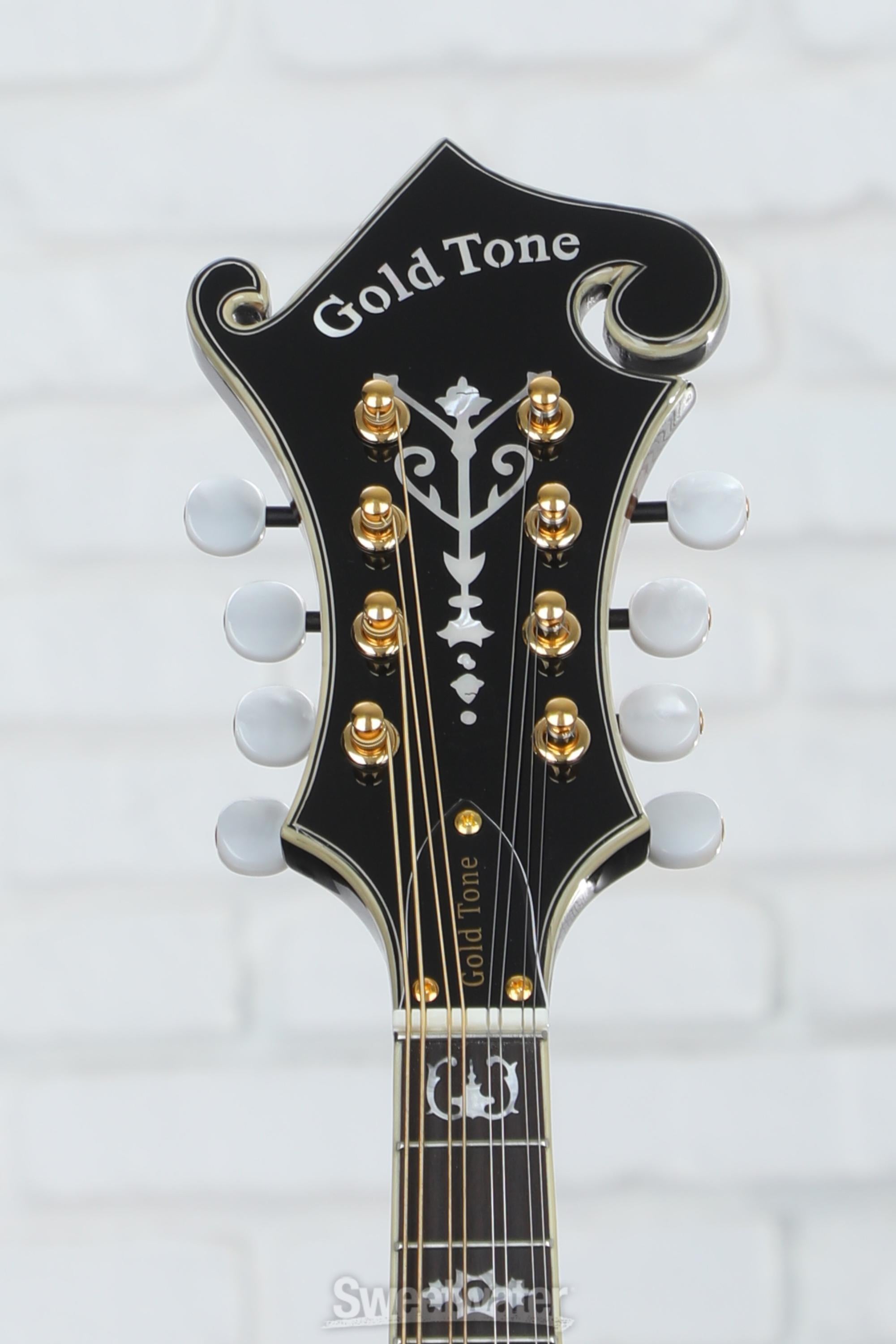 フラットマンドリン Gold Tone GM-70+ G-70_Front_a9f2934e-78cd-47ba-