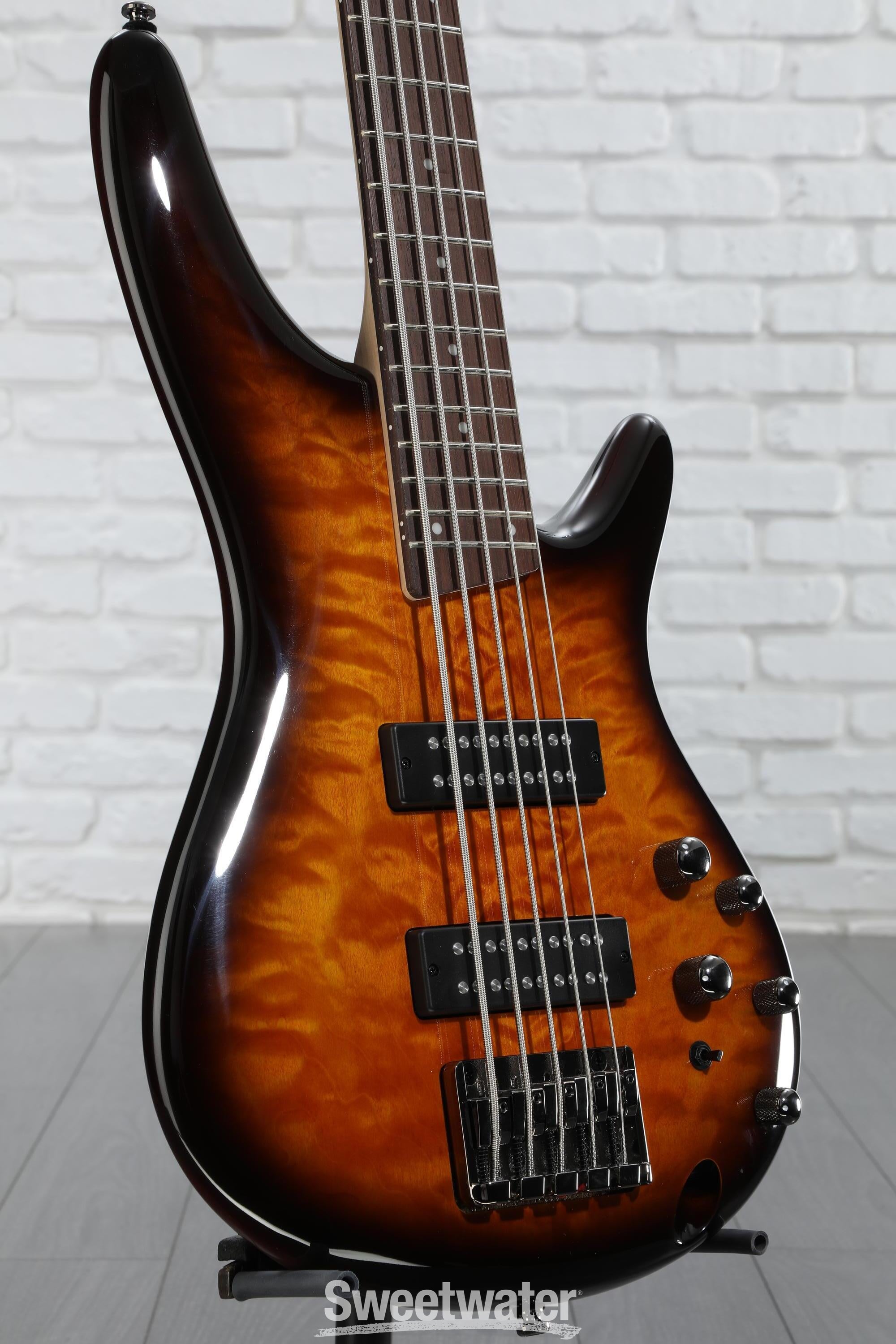 Ibanez Standard SR405E 5-string Bass Guitar - Dragon Eye