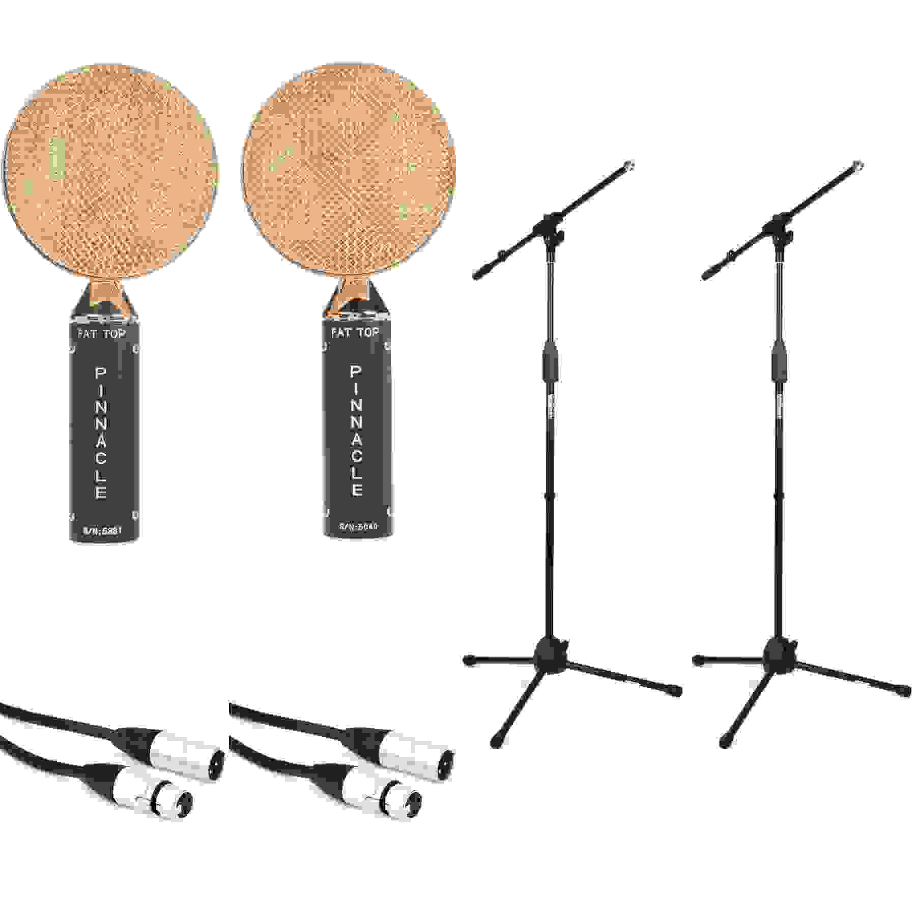 Pinnacle Microphones Fat Top Ribbon Microphone Stereo Pair with Stands and Cables - Black/Gold