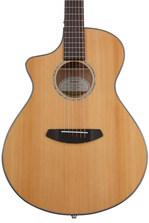 Sweetwater left deals handed acoustic guitars