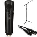 Photo of Warm Audio WA87 R2 Large-diaphragm Condenser Microphone Bundle with Stand and Cable - Black