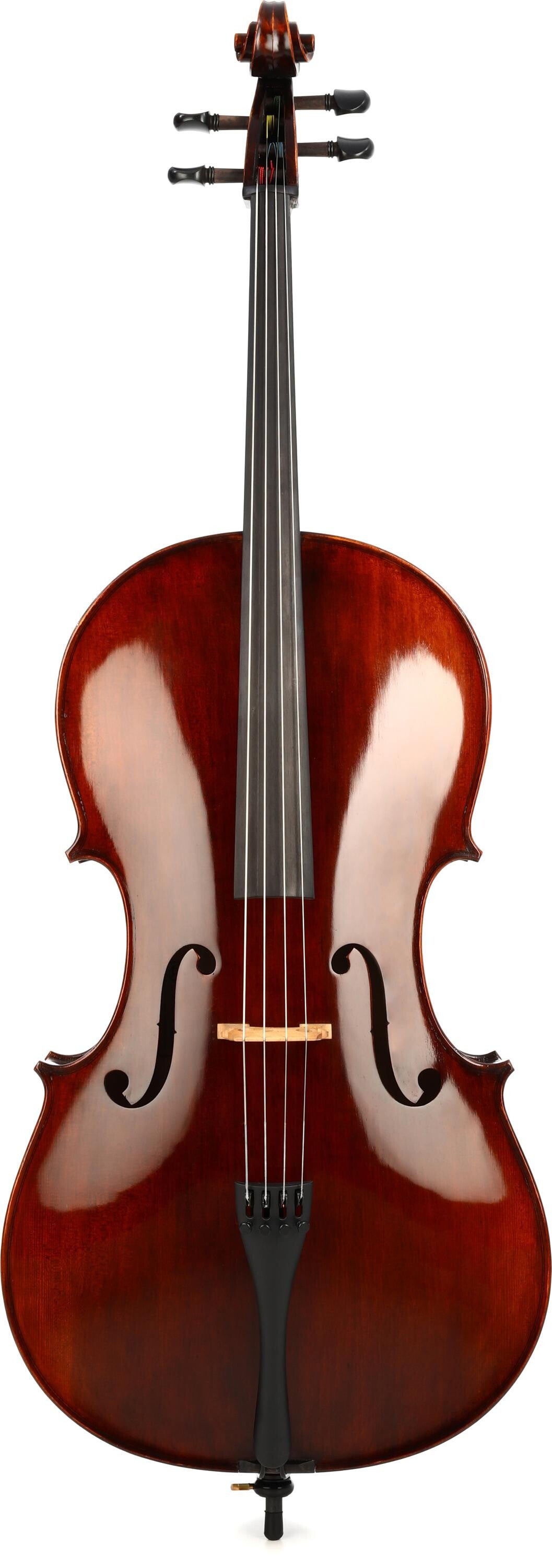 高品質100%新品Andreas Eastman (アンドレア・イーストマン) バイオリン　VL80　サイズ：4/4　(管理番号：060140) バイオリン