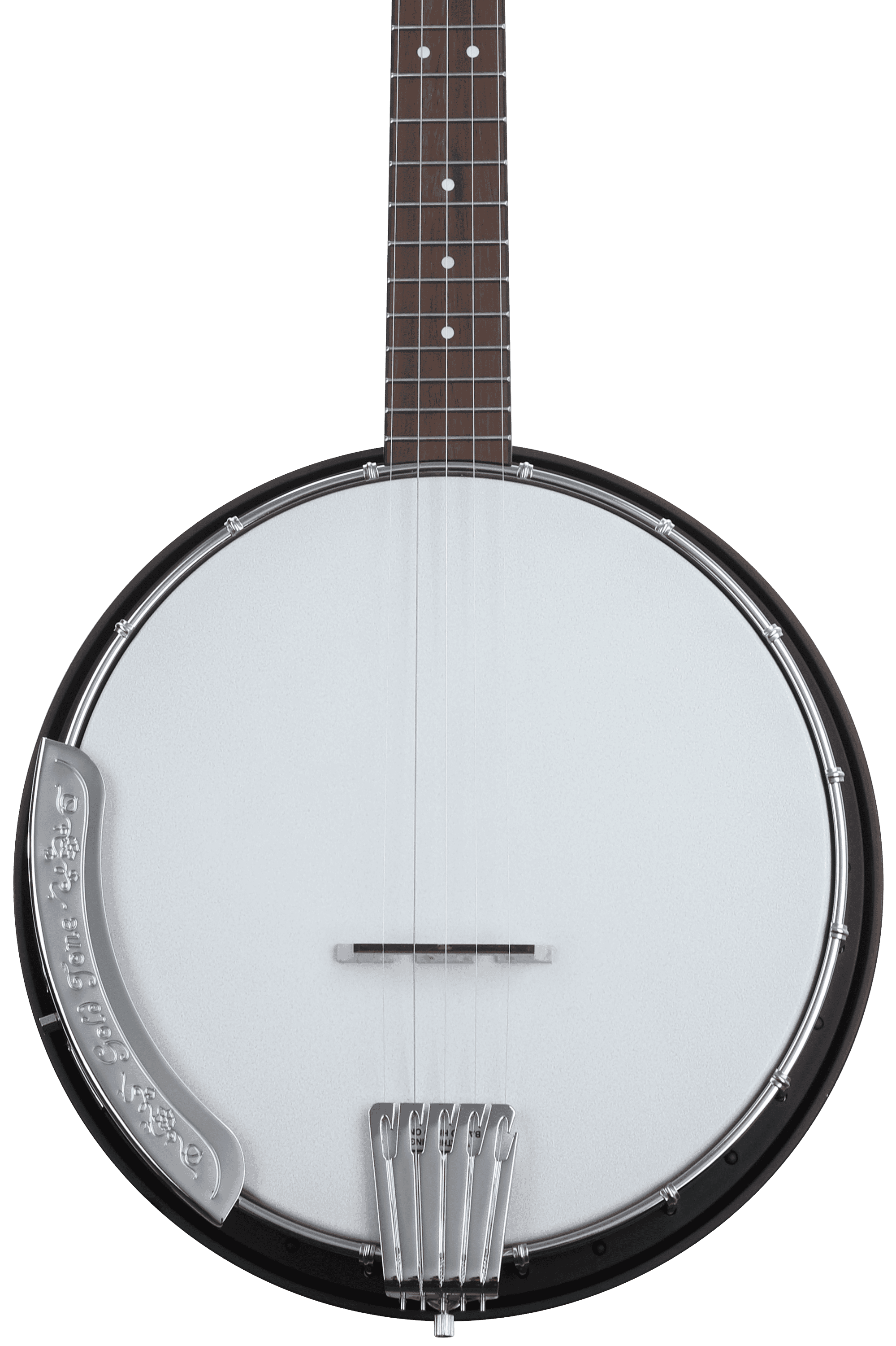 Gold Tone AC5 Acoustic Composite 5string Banjo Sweetwater