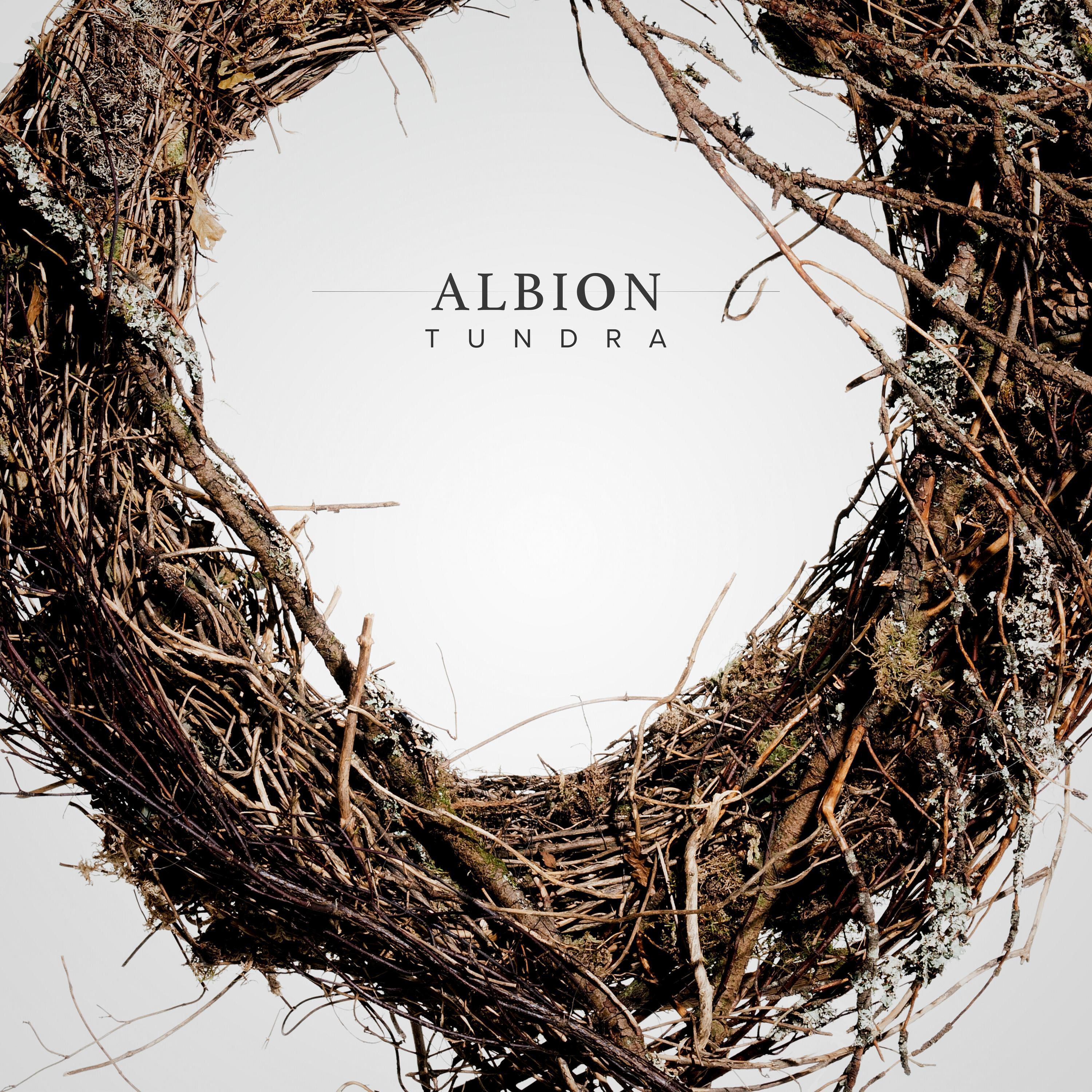 Photo of Spitfire Audio Albion Tundra Orchestral Sample Library and Cinematic Composition Plug-in