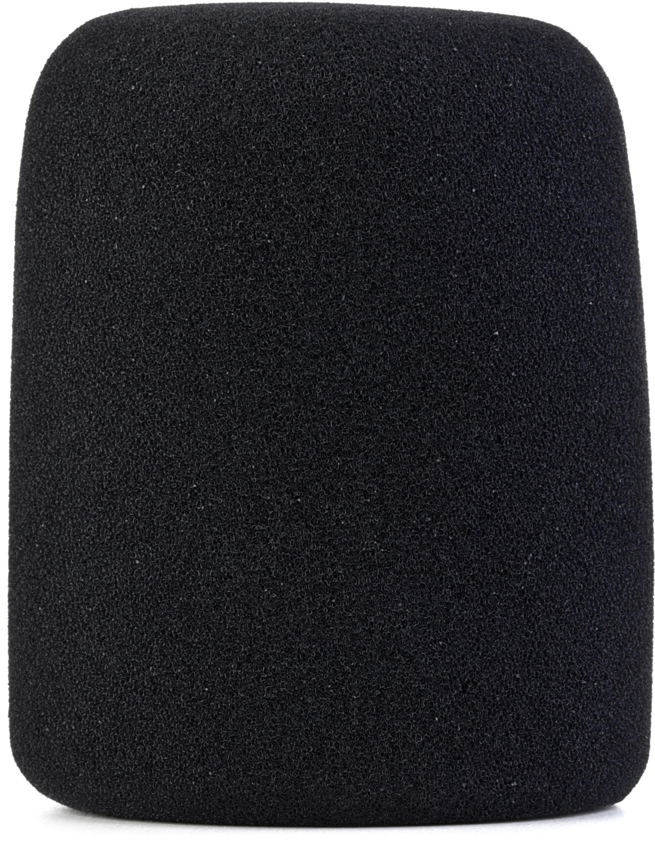 Photo of Lewitt LCT 40 Wxx Windscreen