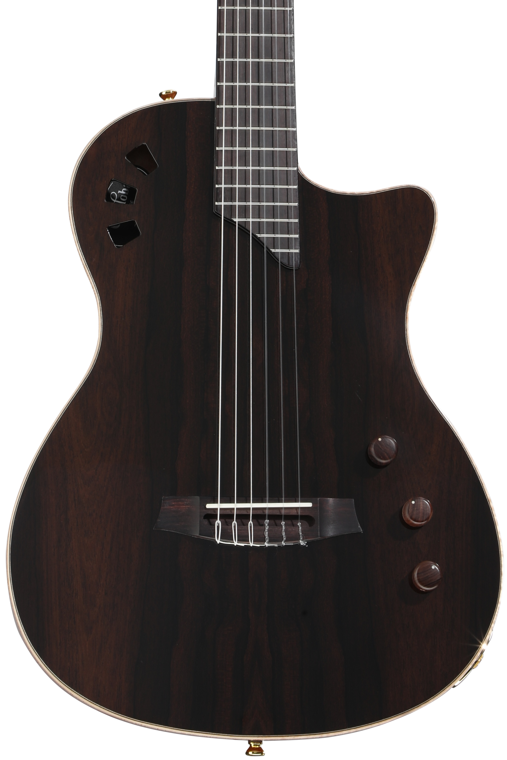 Line 6 Variax Acoustic 300, Nylon String - Nylon String | Sweetwater