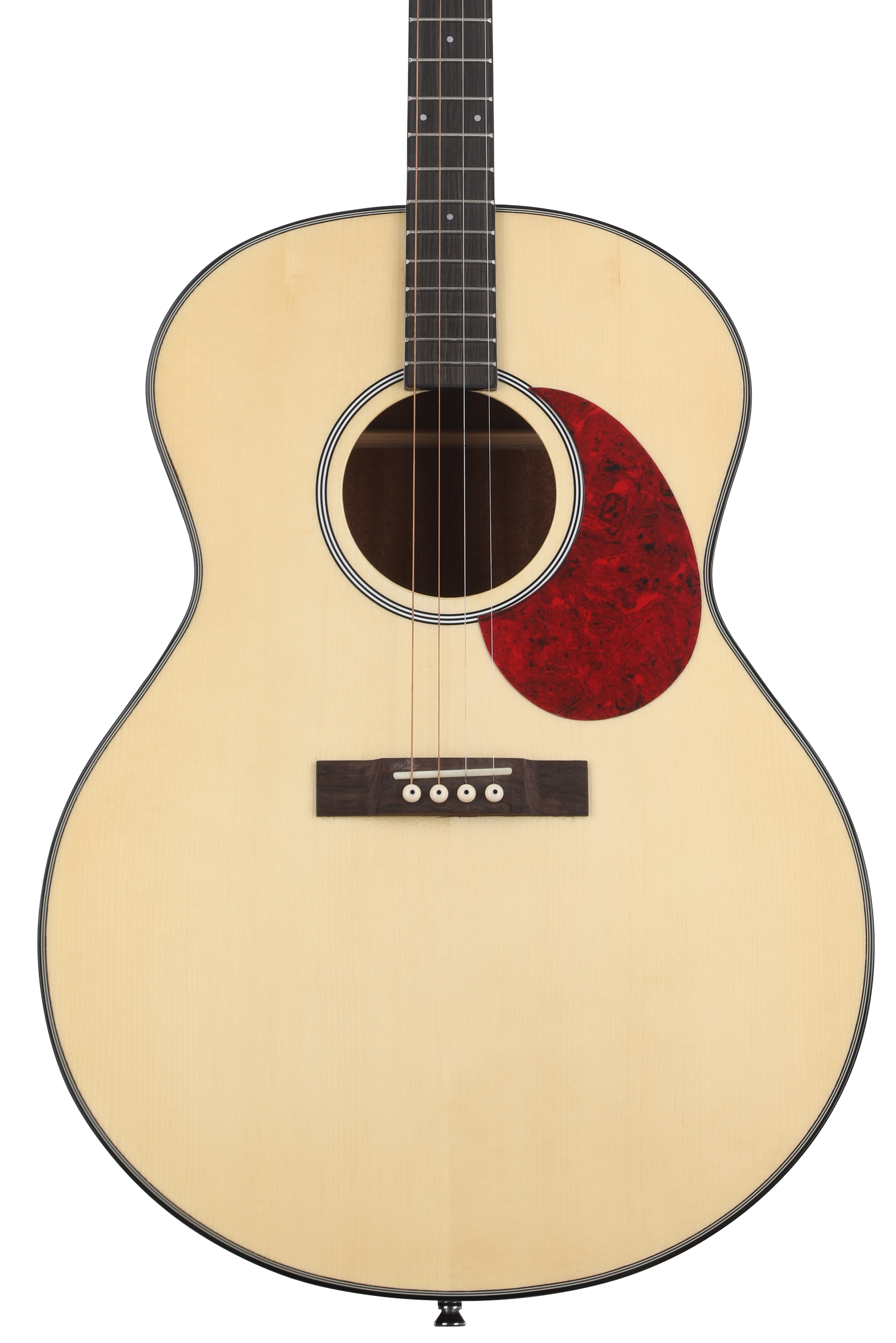 Gold Tone TG-10 Tenor Acoustic Guitar - Natural