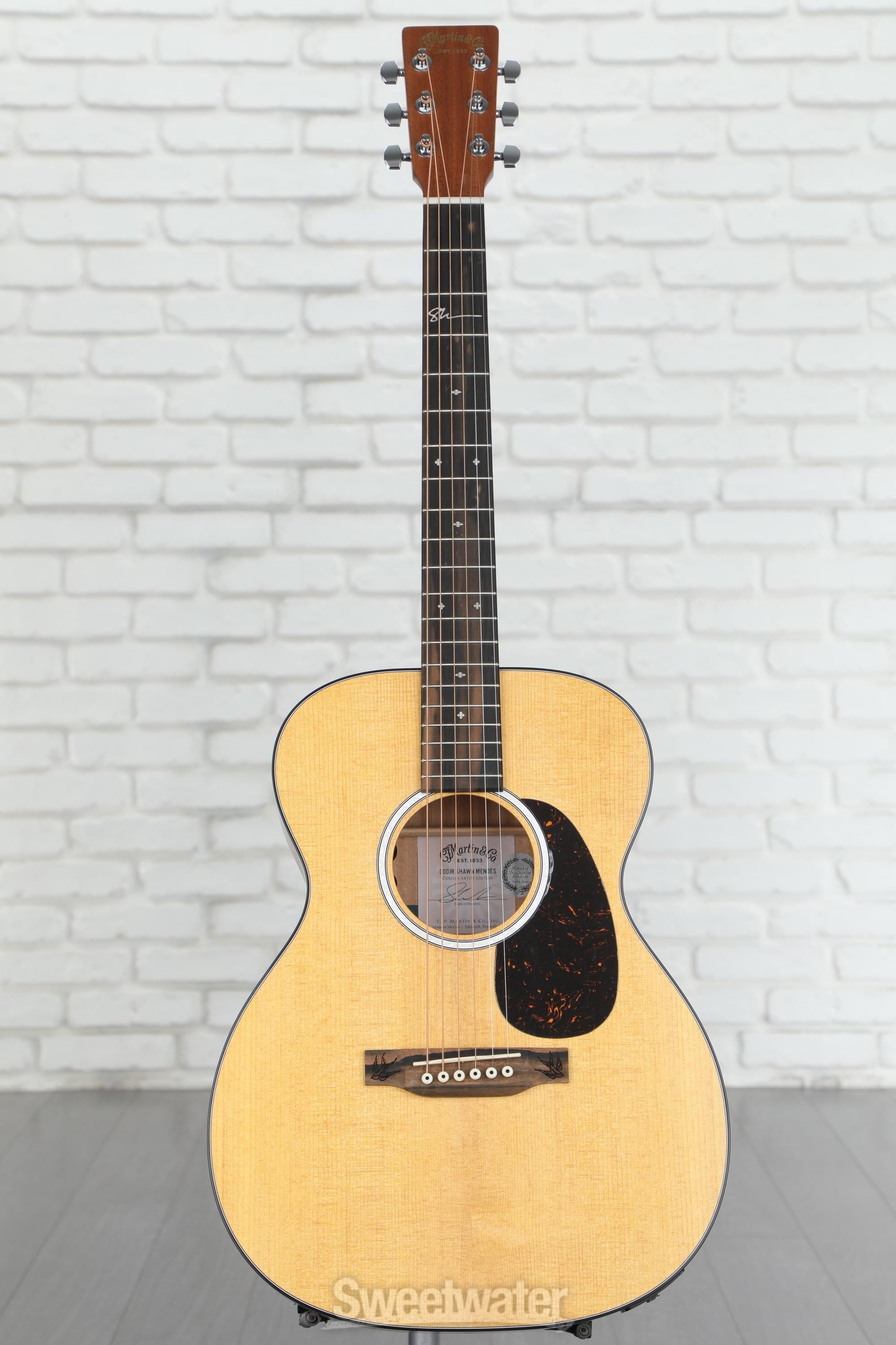 s 000JR-10E Shawn Mendes | Deutschland Martin Guitar