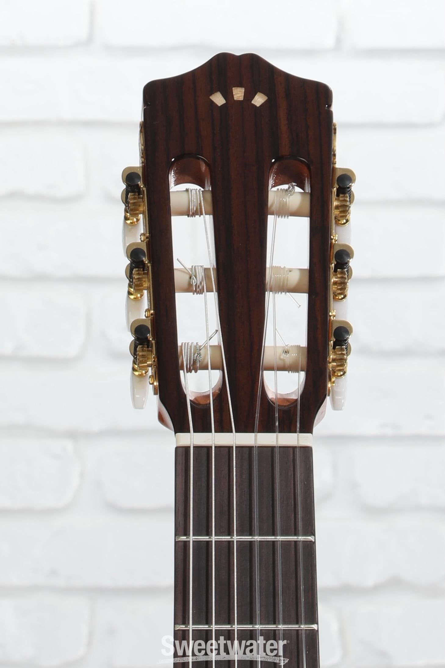 Cordoba C5 Nylon String Acoustic Guitar - Cedar