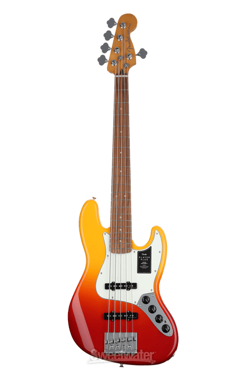 Sweetwater deals fender bass