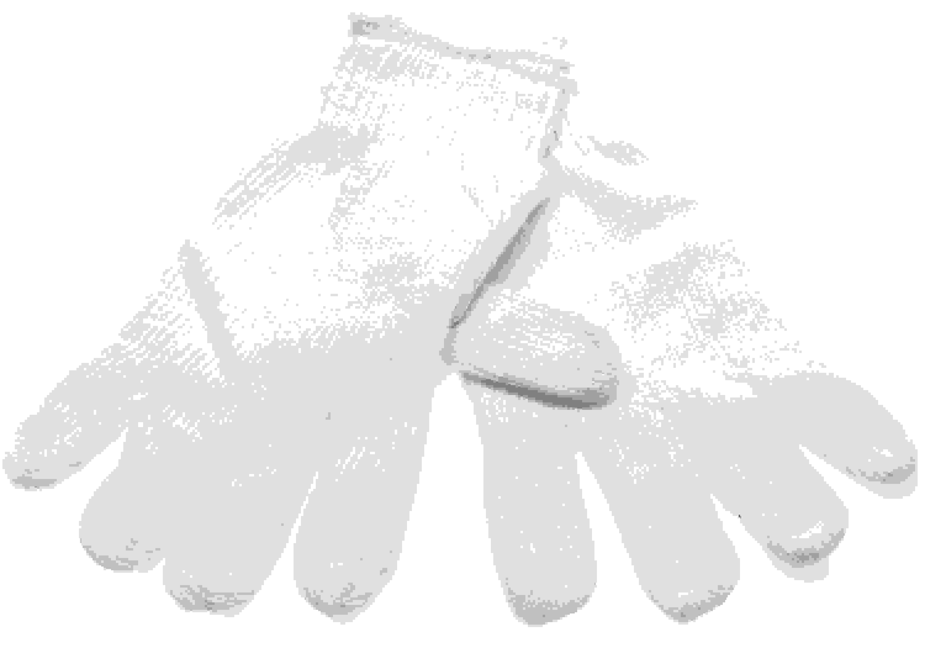 Bach 1888 Polishing Gloves for Sliver-plated Instruments