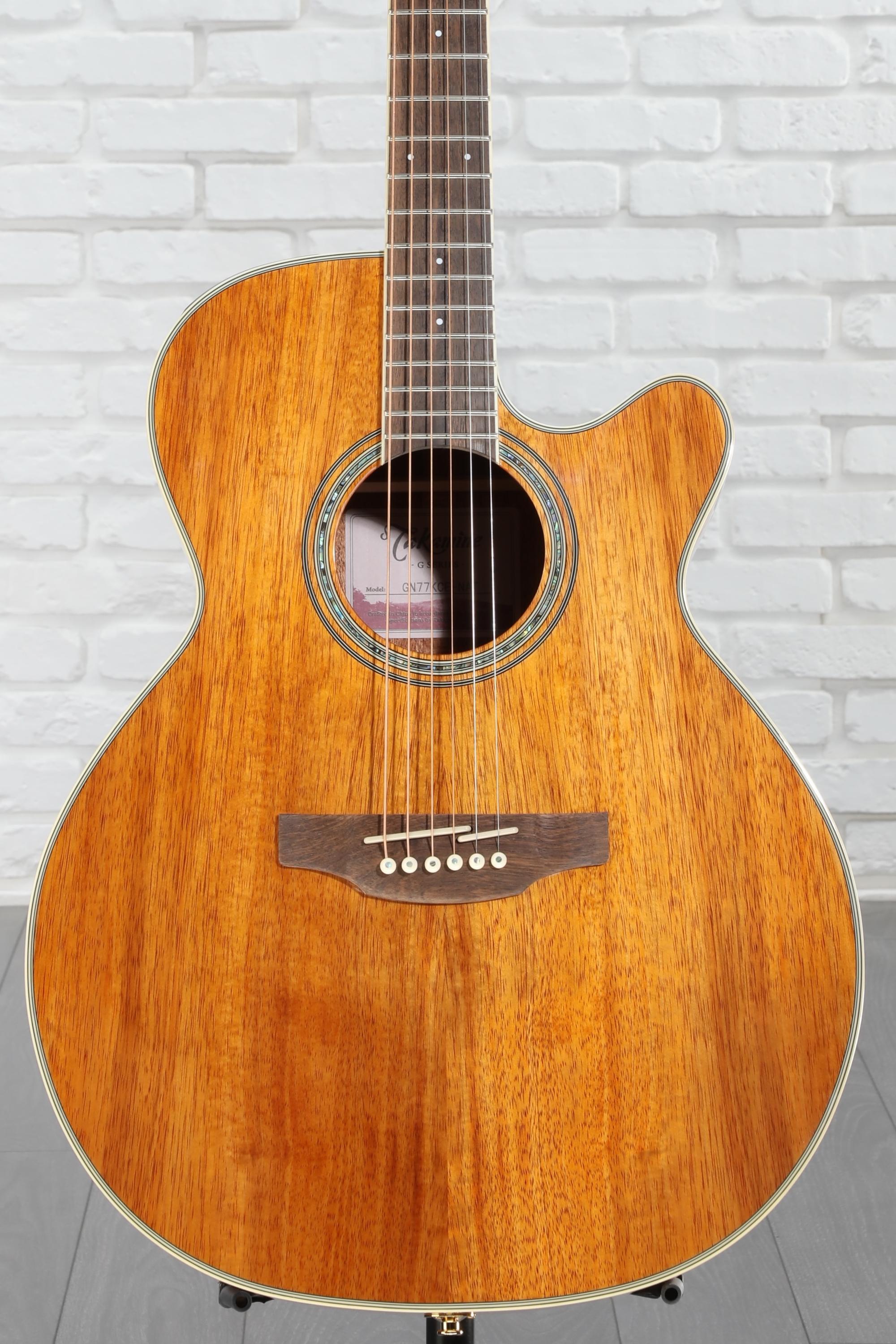 Takamine T-F0ANアコースティックギター CNB製 ギグバッグ 付き Takamine T-F0ANアコースティックギター CNB製 ギグバッグ 付き