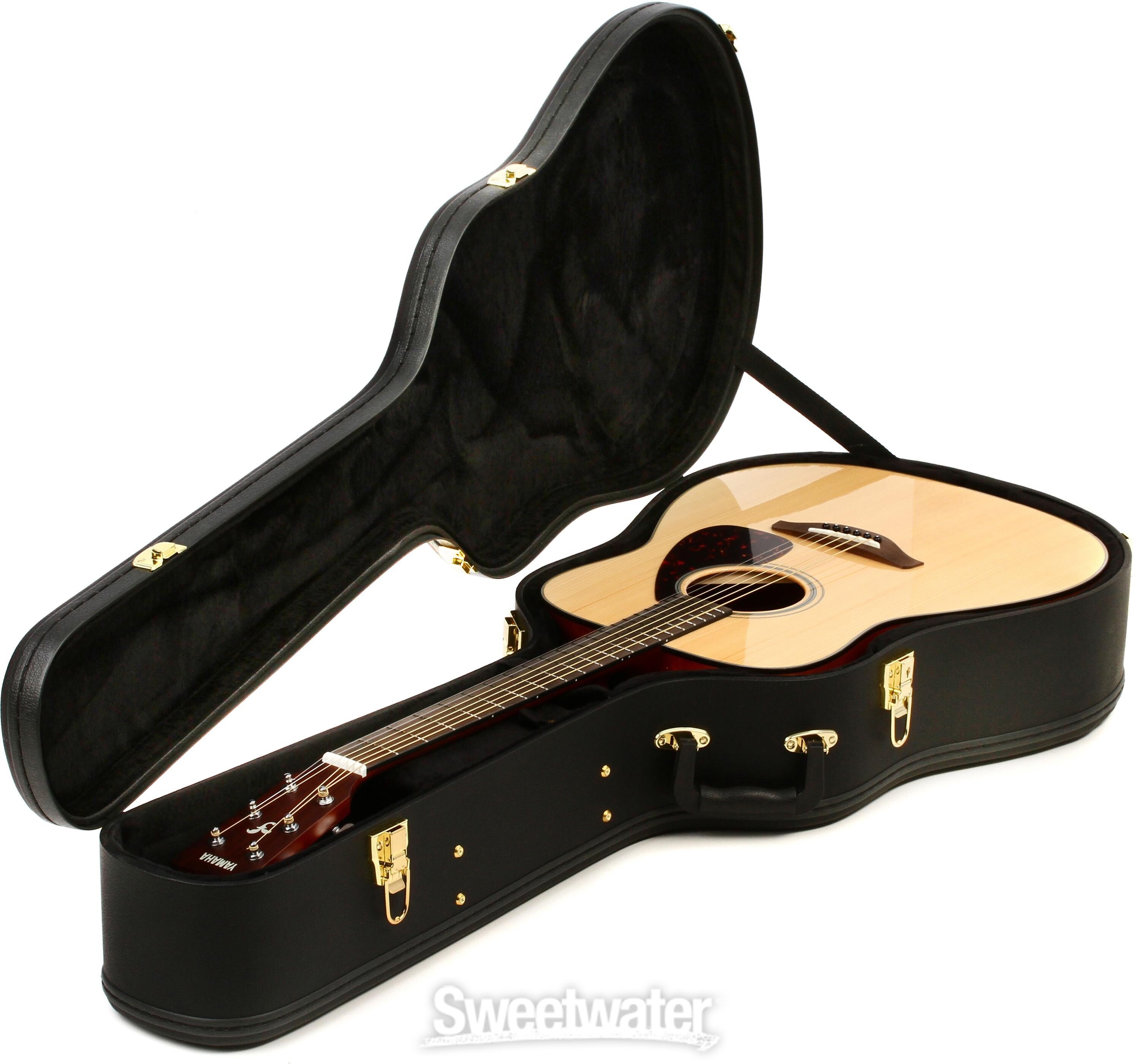 Cheap hard deals guitar case