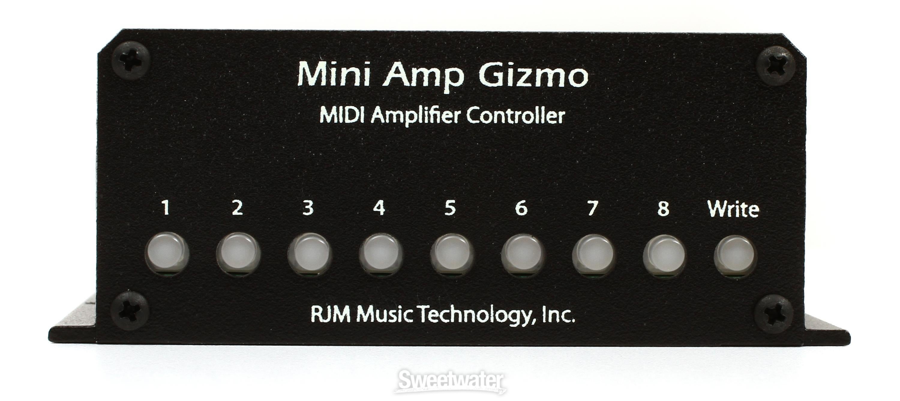 RJM Music Mini Amp Gizmo