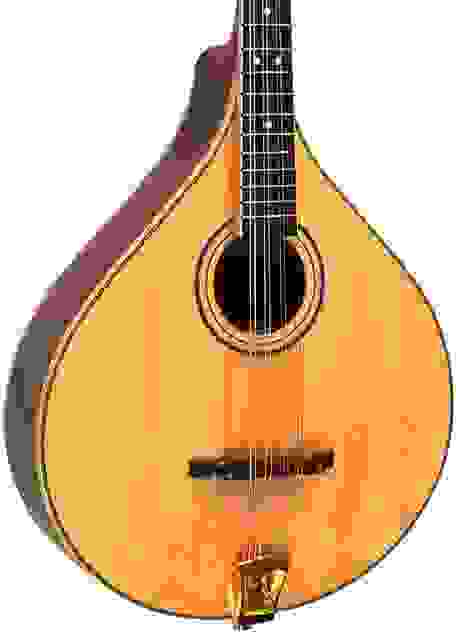 Gold Tone OM-800+ Octave Mandolin - Natural/High Gloss | Sweetwater