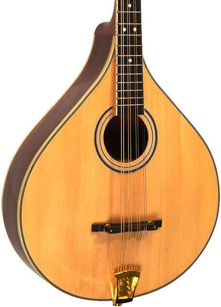 Gold Tone OM-800+ Octave Mandolin - Natural/High Gloss | Sweetwater