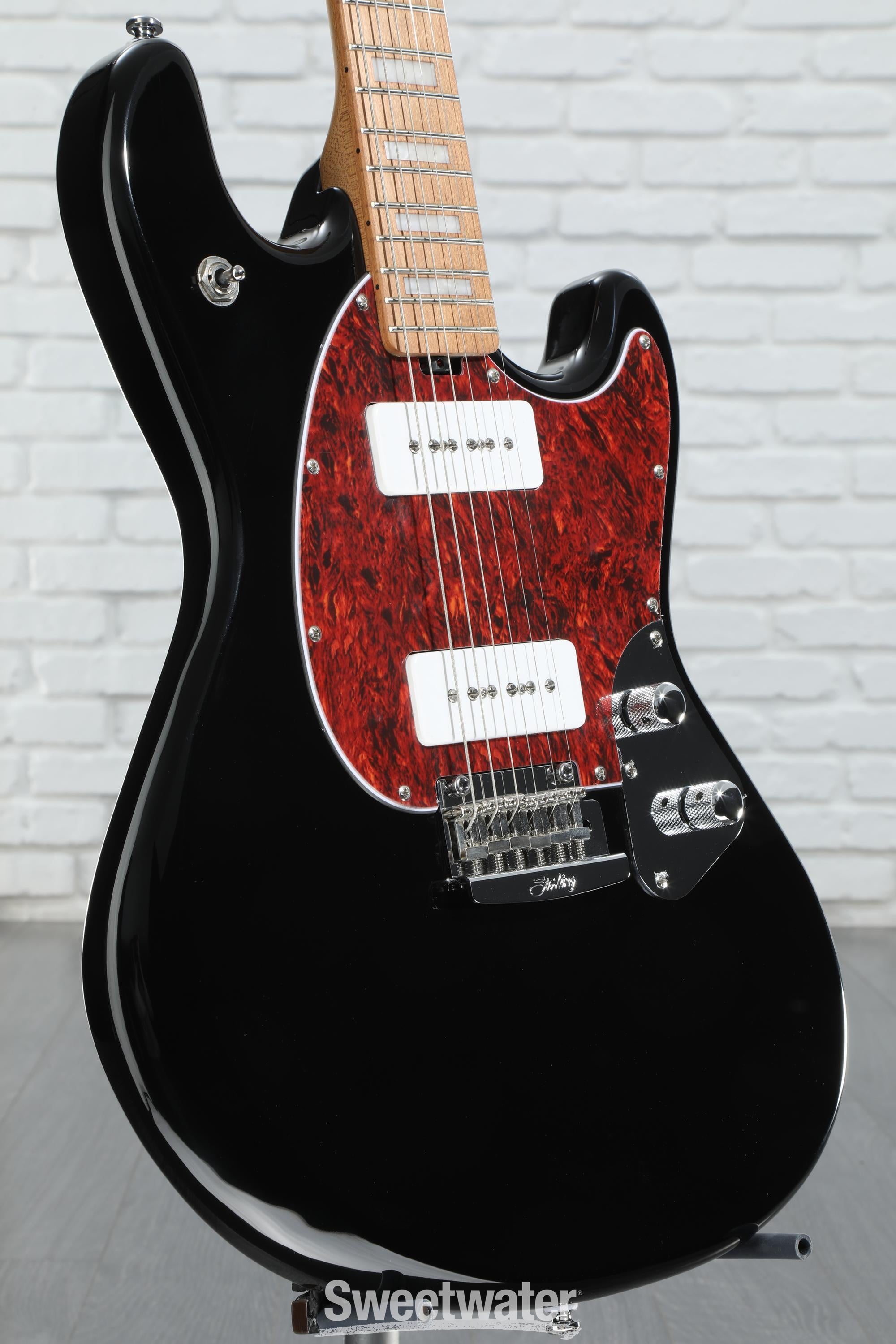 ギター Sterling Amazon.com: Sterling By MusicMan 6 String Solid-Body