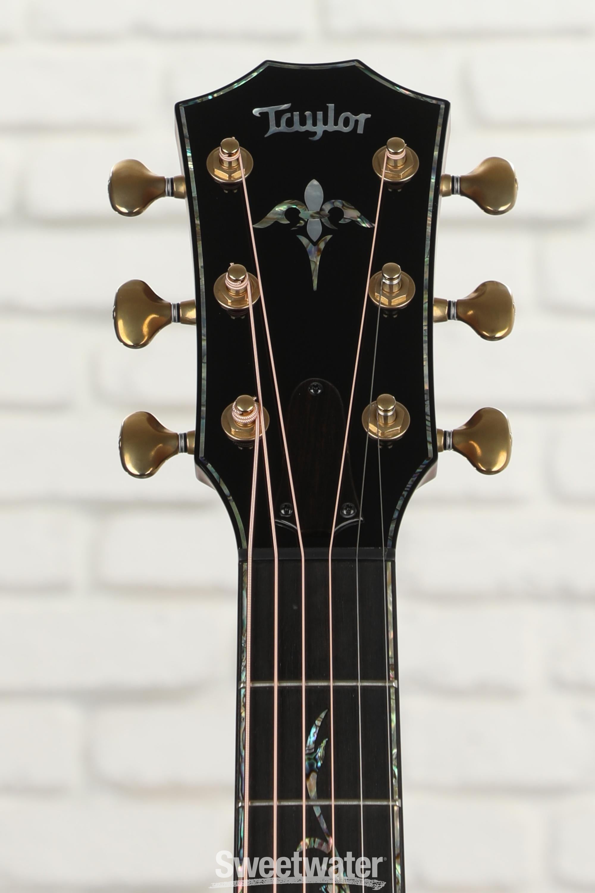 Taylor Cocobolo Guitar Hanger with Noveau Inlay
