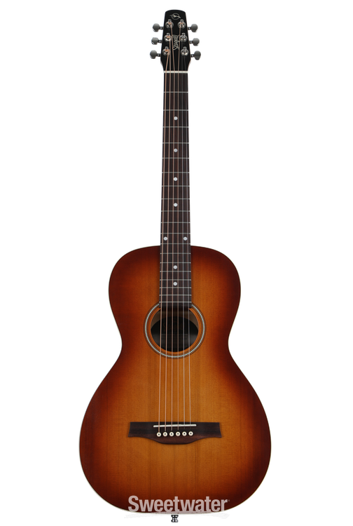 エレアコ化 Seagull Entourage Rustic Fishman ギター