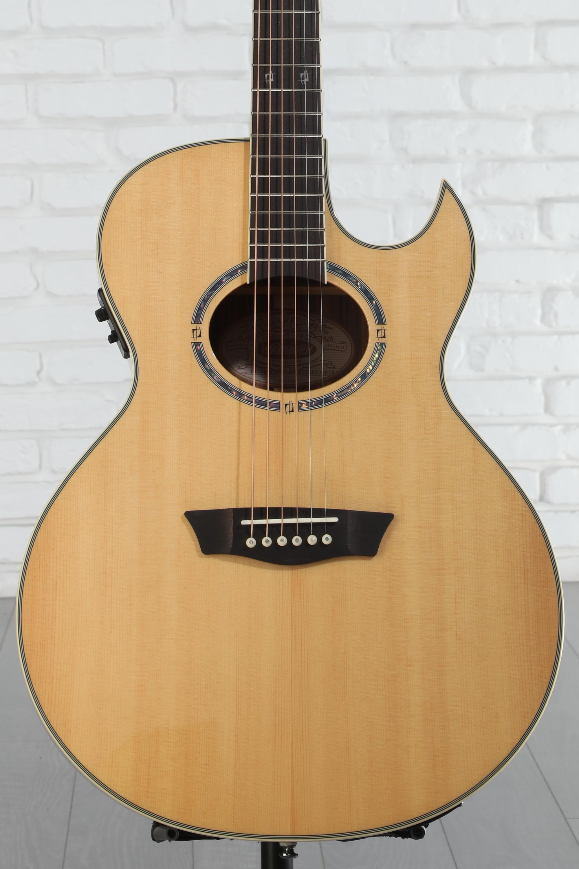 Washburn EA20 エレアコ ギター Washburn Guitars