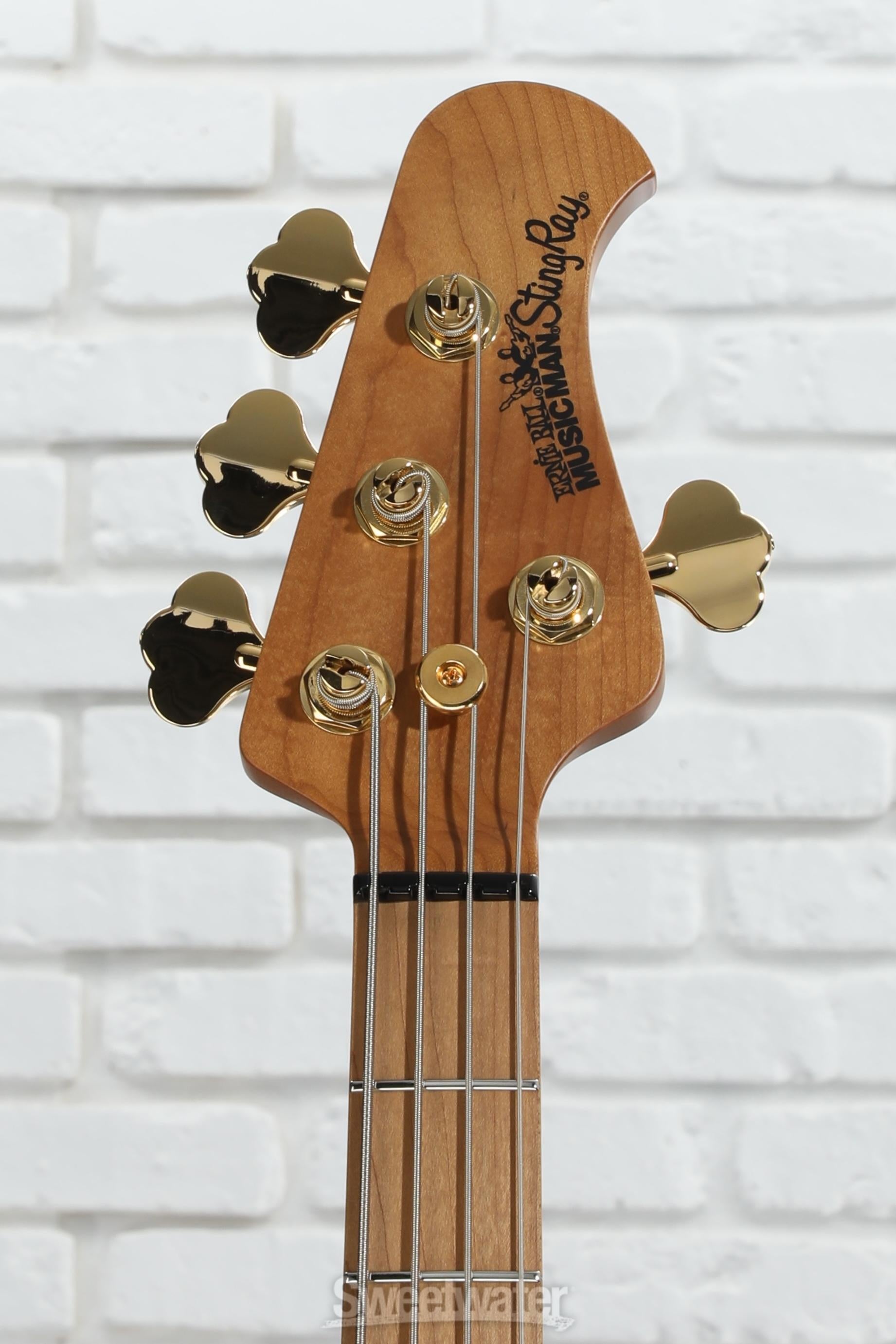 ギター HARA Ernie Ball Music Man StingRay Special Bass Guitar - Jackpot