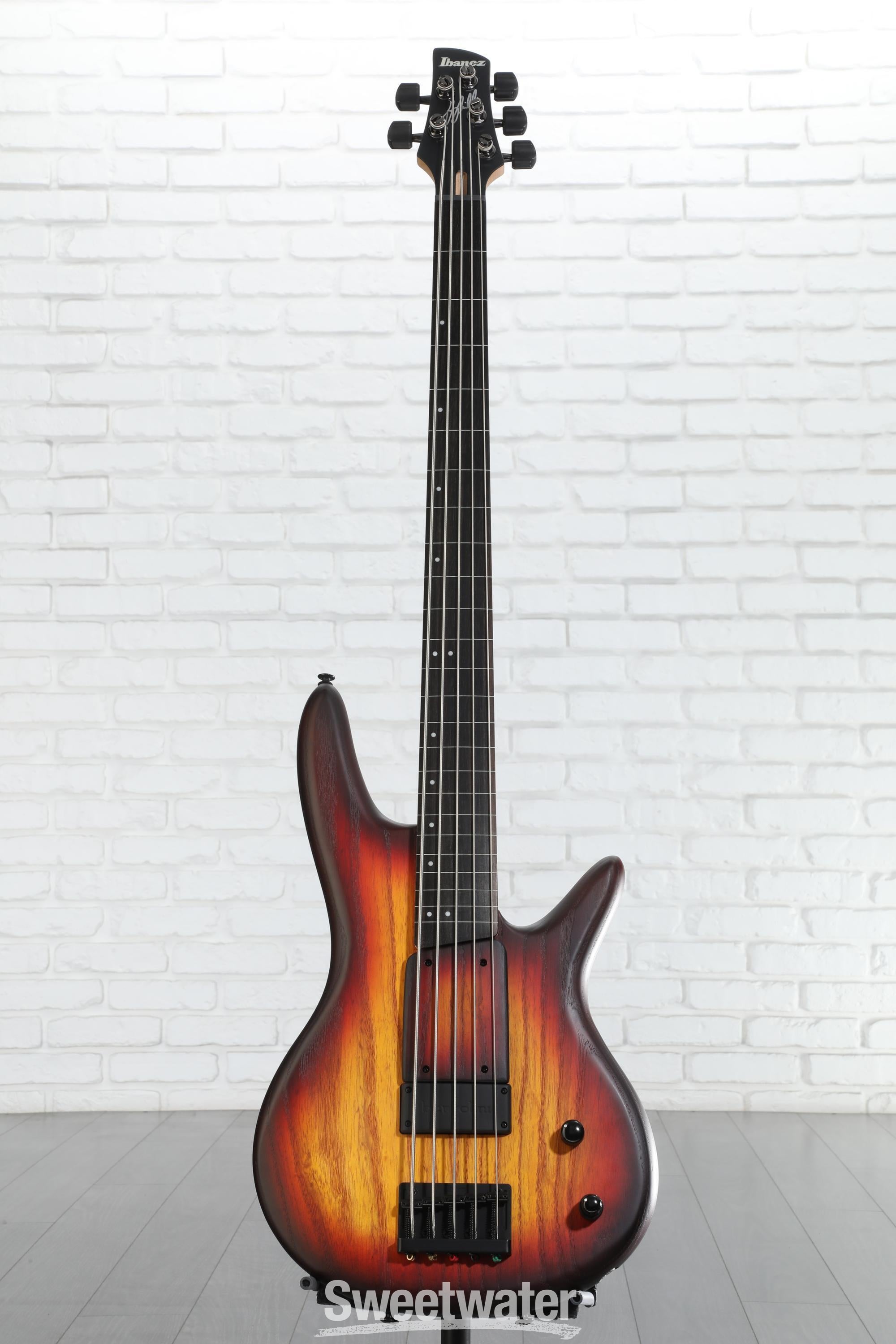 Ibanez Gary Willis Signature GWB205 Fretless Bass Guitar