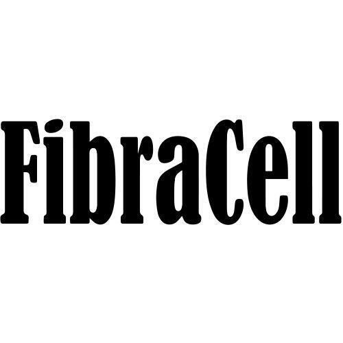 Photo of Fibracell FBSR-H5 - Premier Baritone Saxophone Reed - 5.0