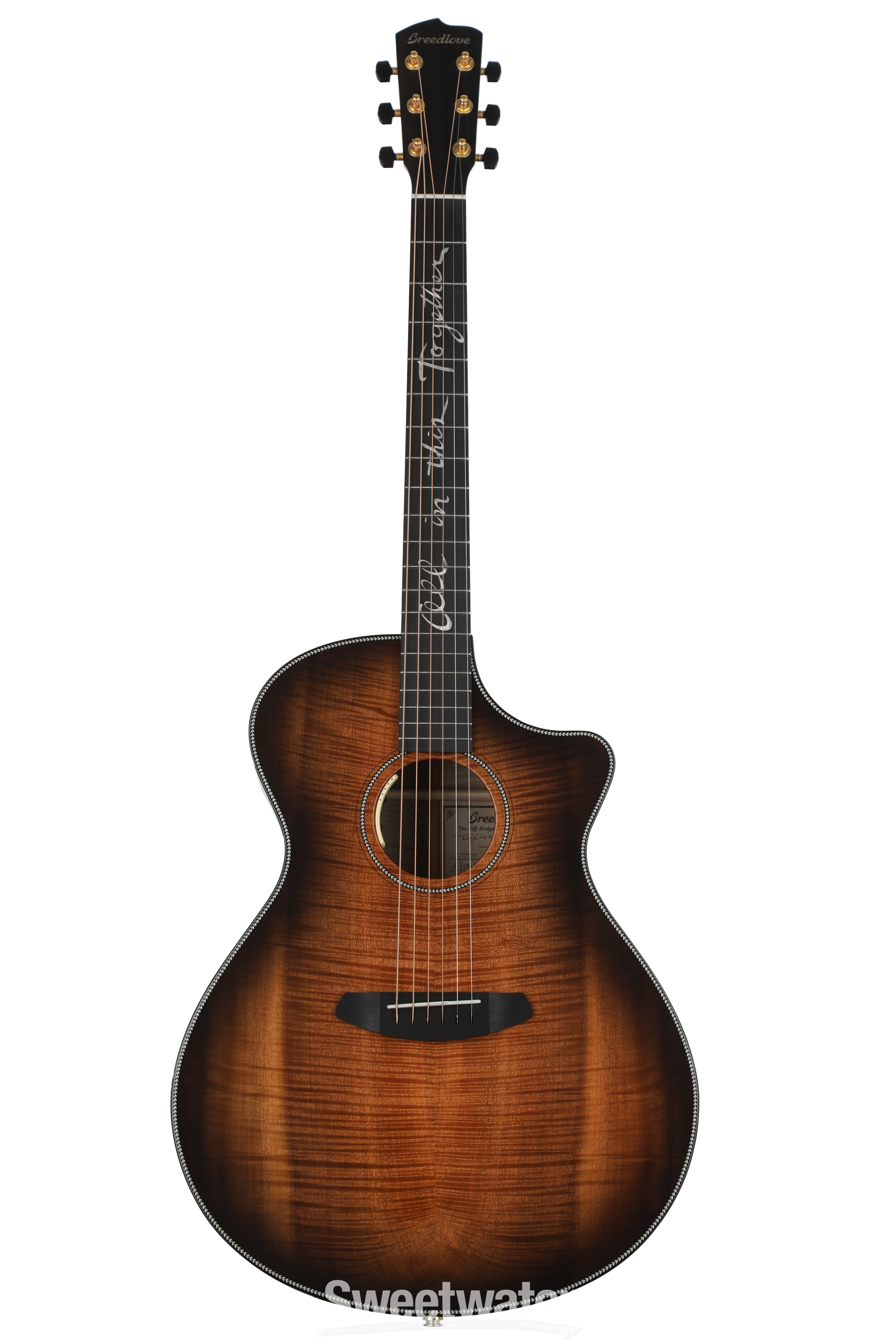 Breedlove Jeff Bridges Oregon Dreadnought Concerto CE Acoustic