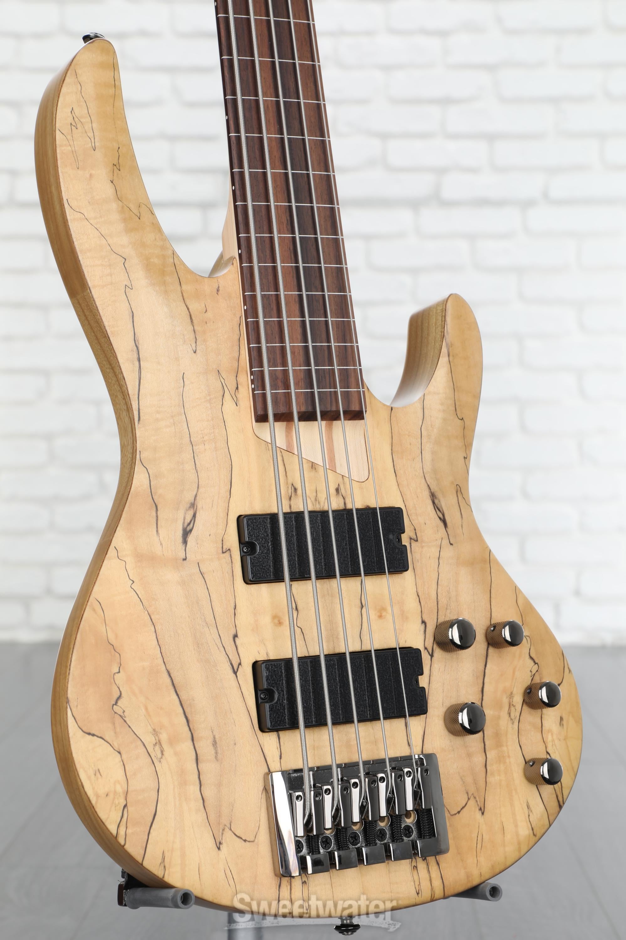 ESP LTD B-205SM Fretless Bass Guitar - Natural Satin | Sweetwater