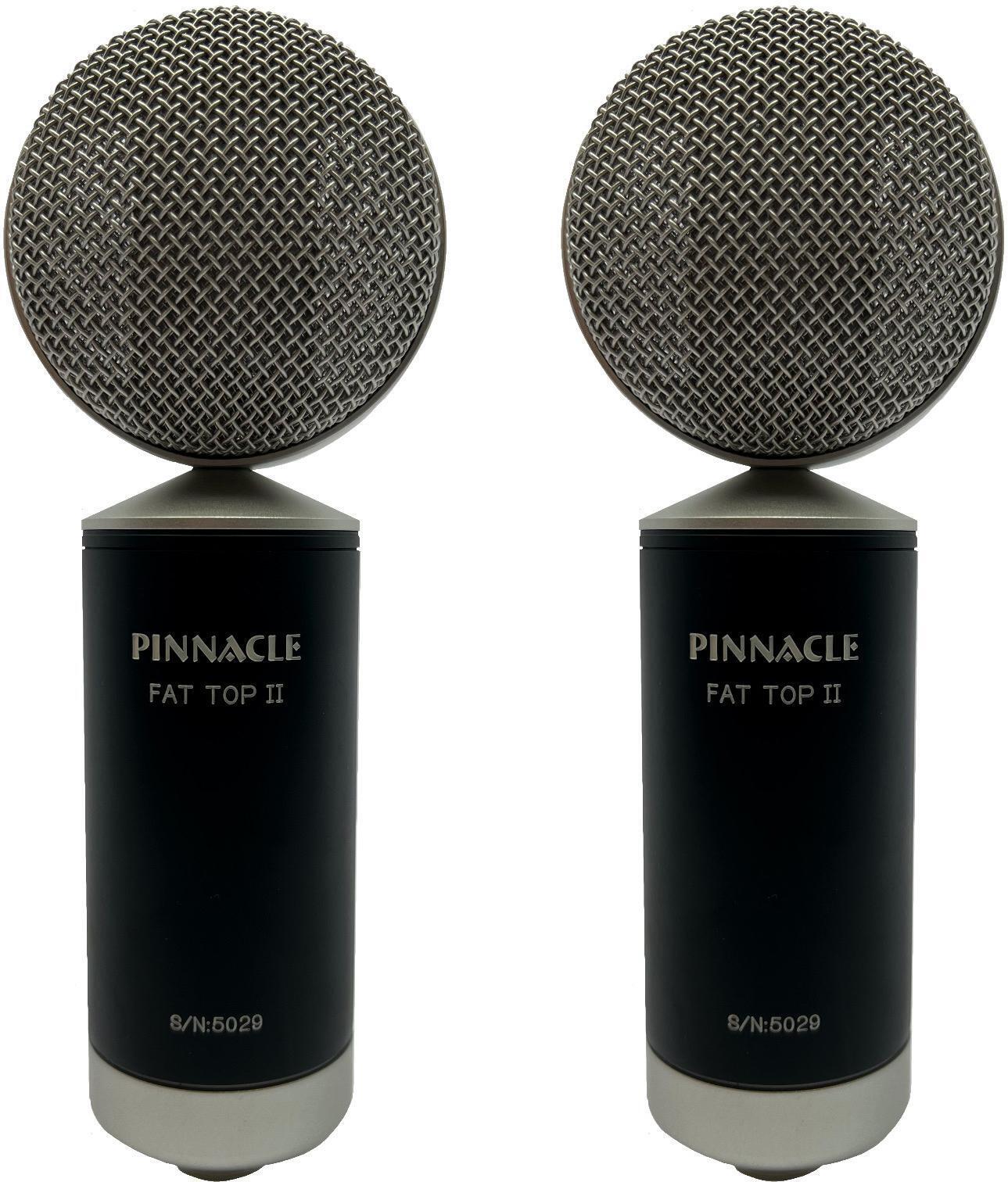 Pinnacle Microphones Fat Top II Ribbon Microphone Stereo Pair with Lundahl Transformer Black