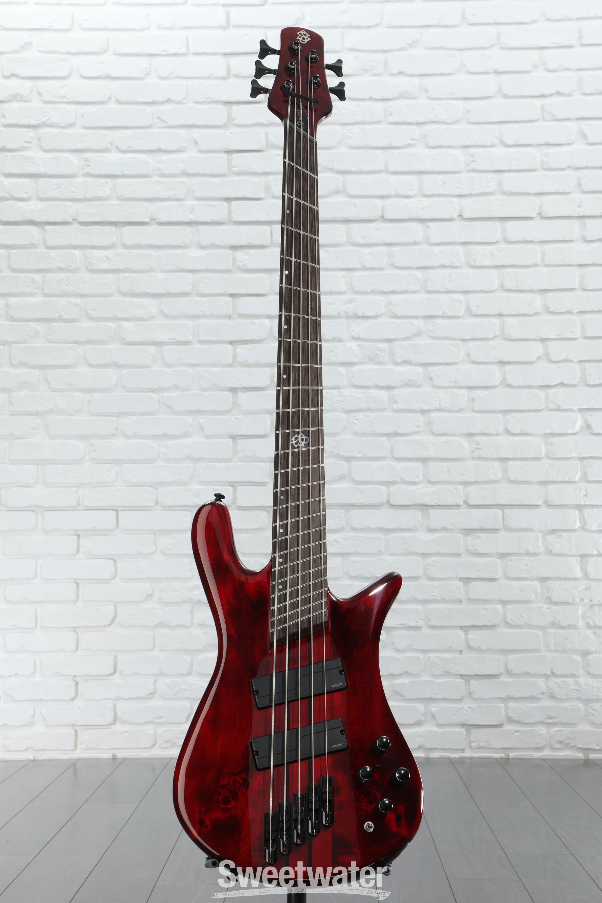 ベース Spector NS dimension-5 NS Dimension 5 - Spector Bass