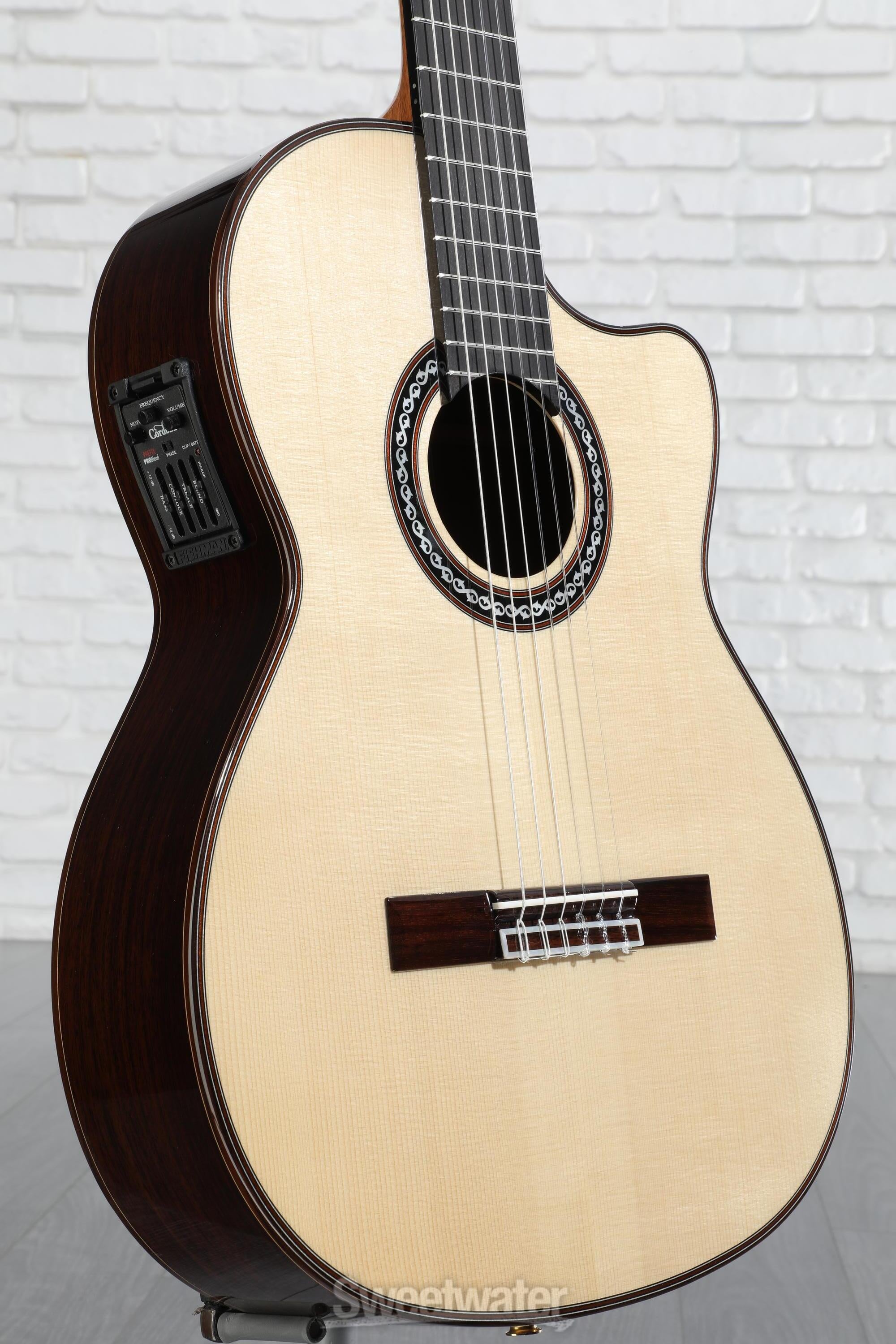 Makuake Popular アコースティックギター Makuake Popular アコースティックギター