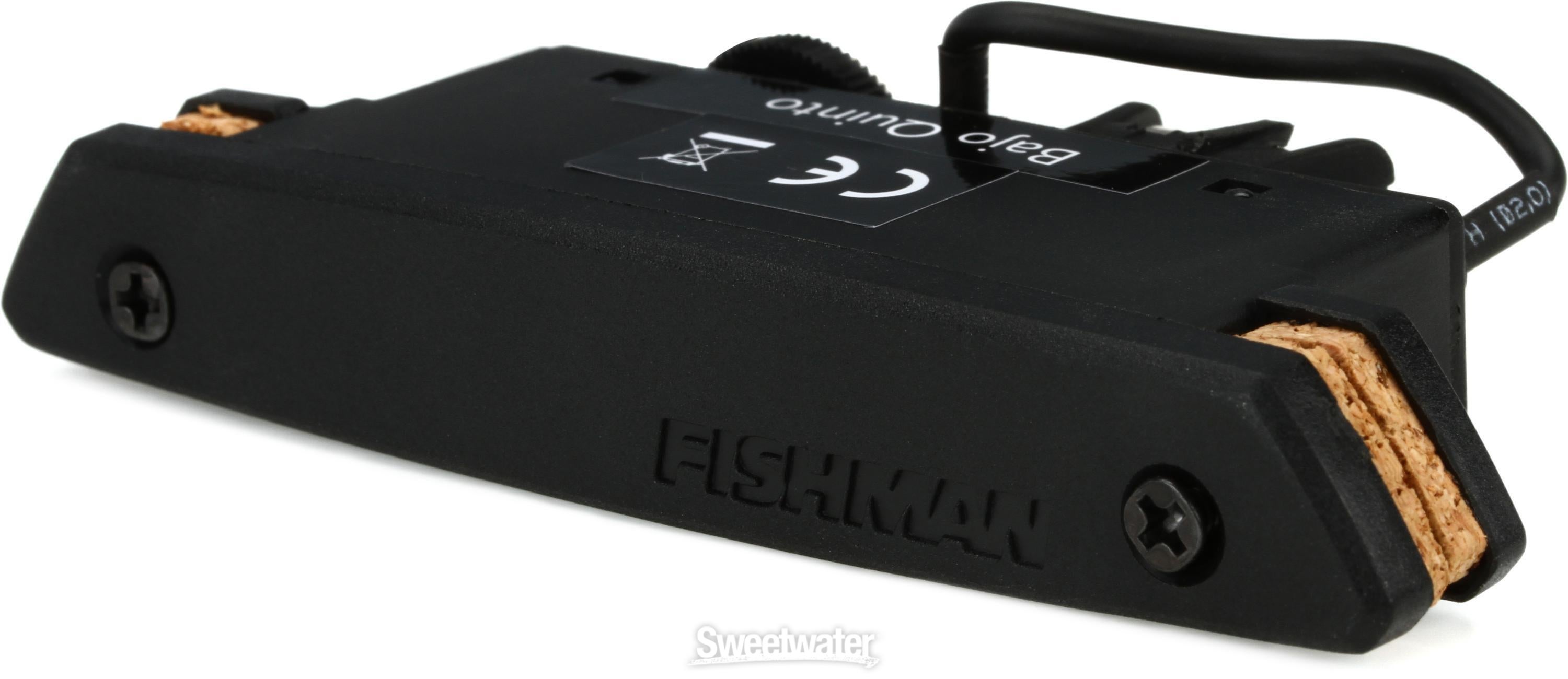 Fishman Rare Earth Bajo Quinto Soundhole Humbucker Pickup