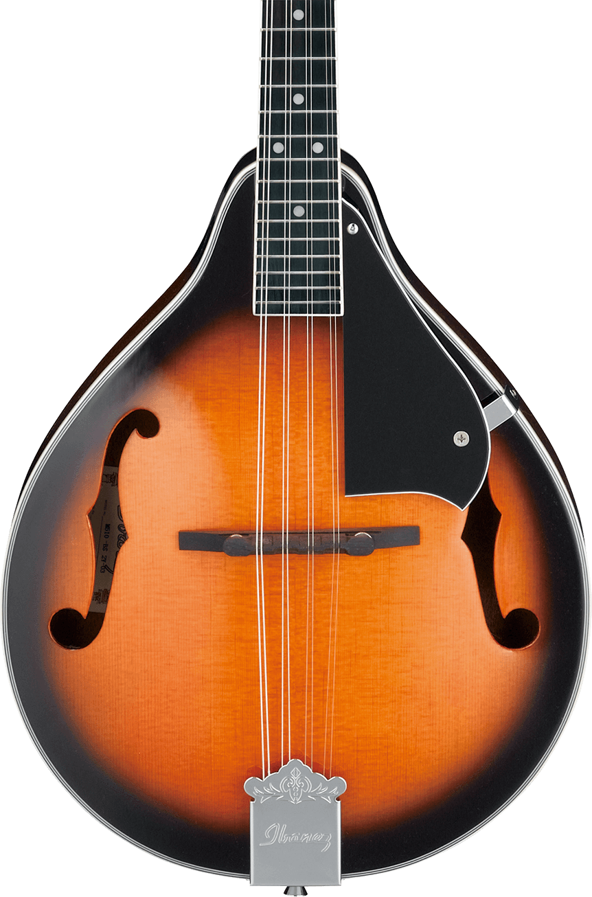 ibanez アイバニーズ マンドリン M510DVS 海外インポート ケース付 ibanez アイバニーズ マンドリン M510DVS 海外インポート ケース