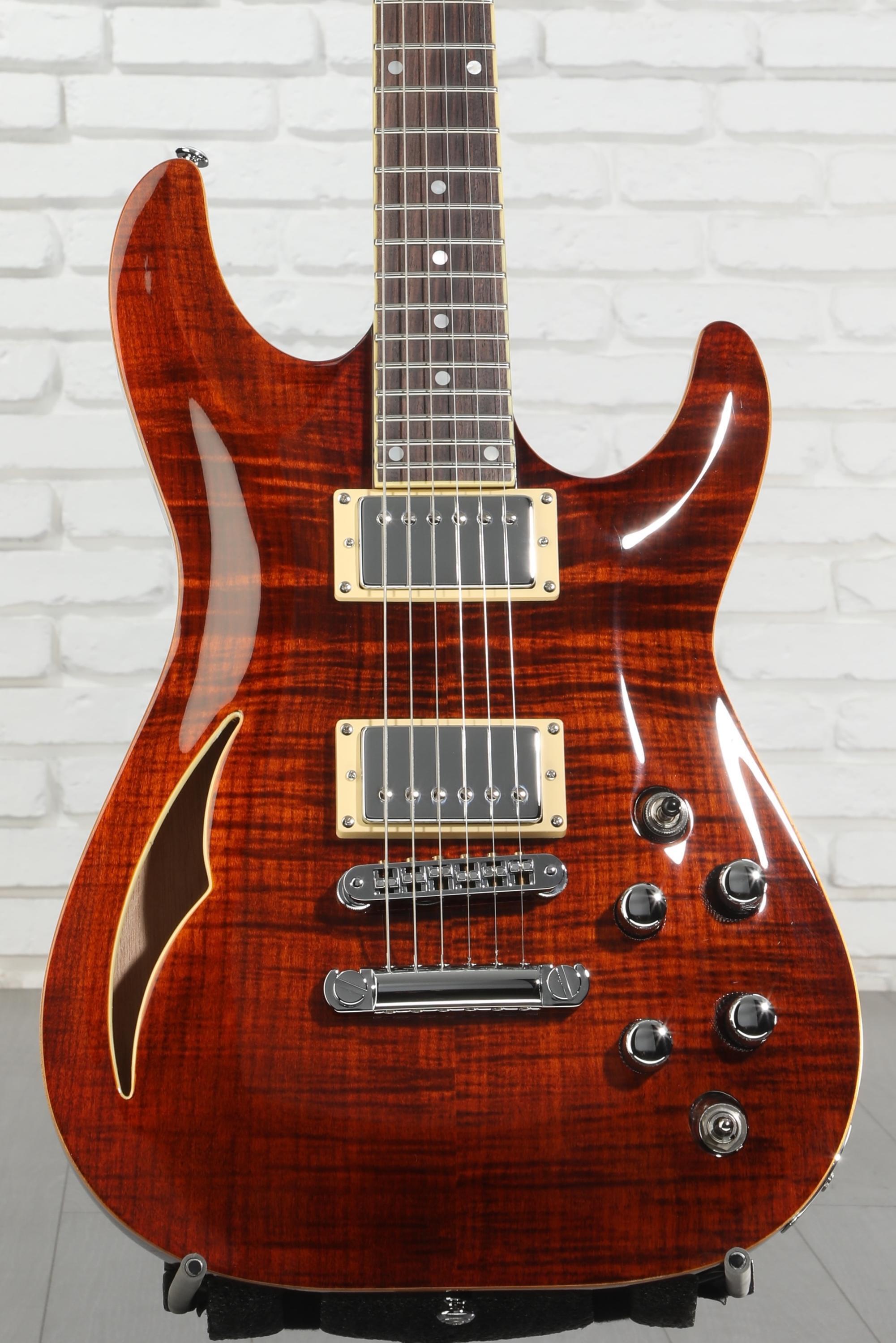 Schecter C-1 E/A Classic Semi-hollowbody Electric Guitar - Cats